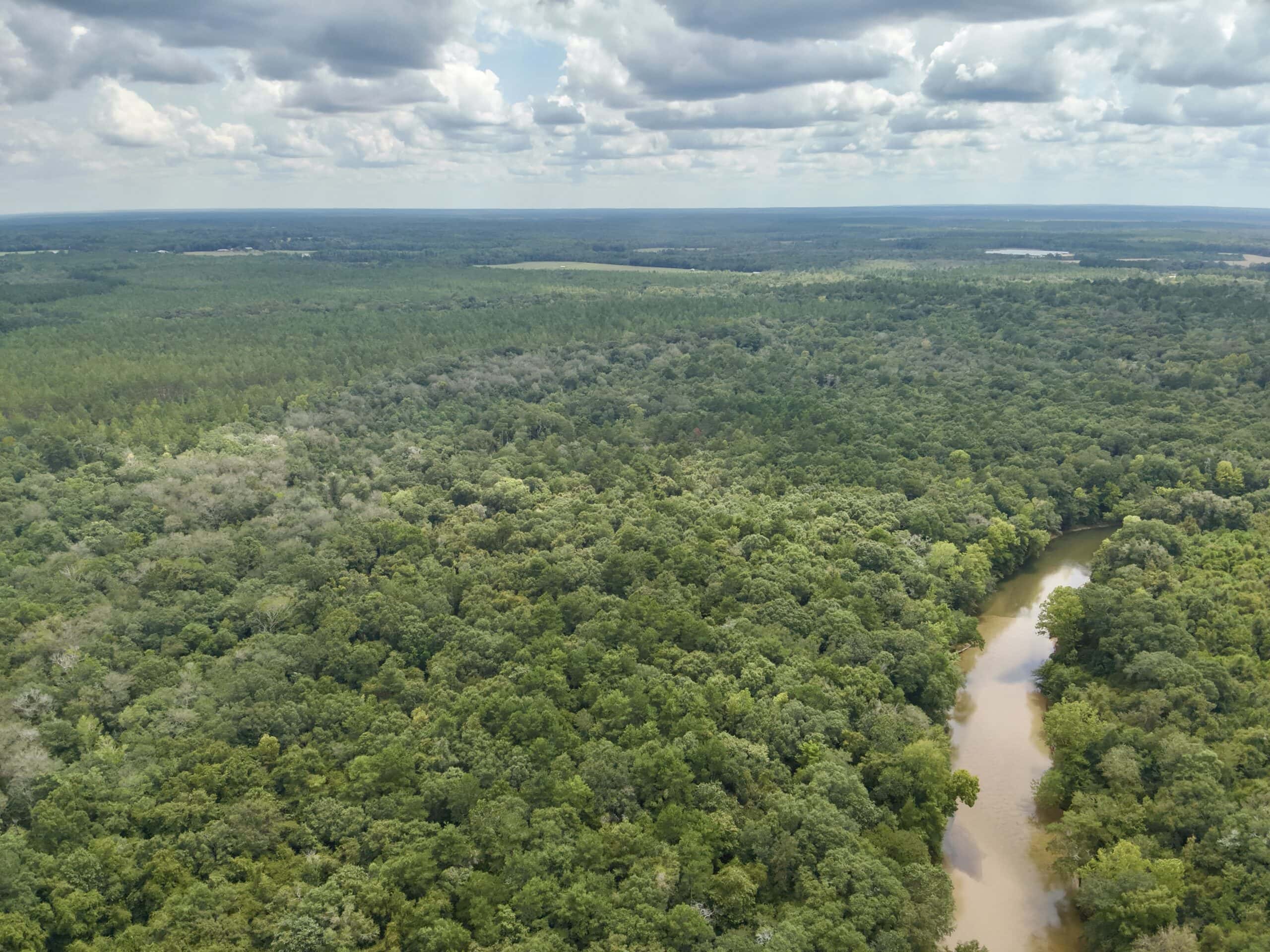 Prime Riverfront Hunting & Recreational Land for Sale in Samson Alabama!