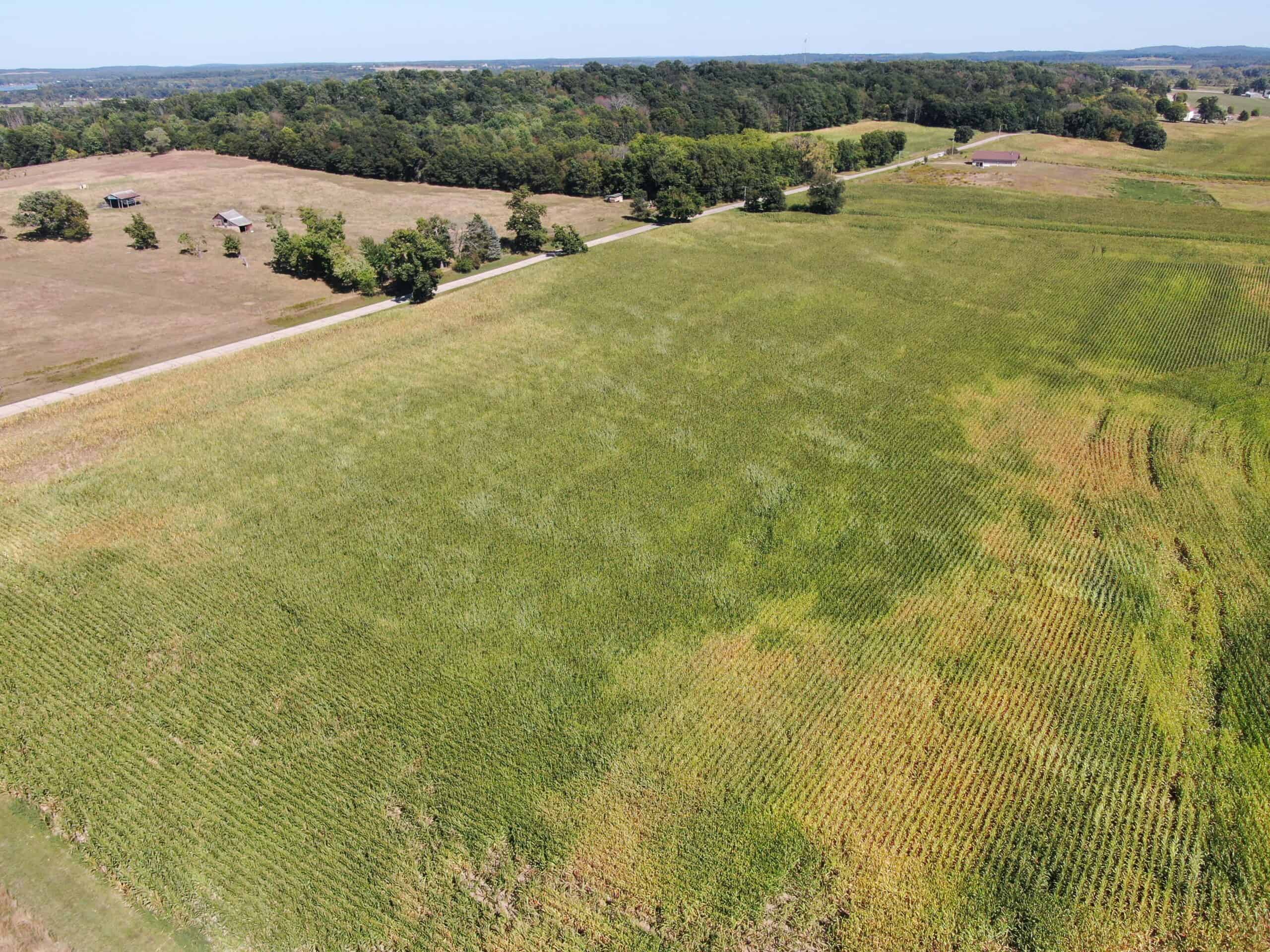 Marquette County 94 Acres of Hunting and Tillable land for sale UC