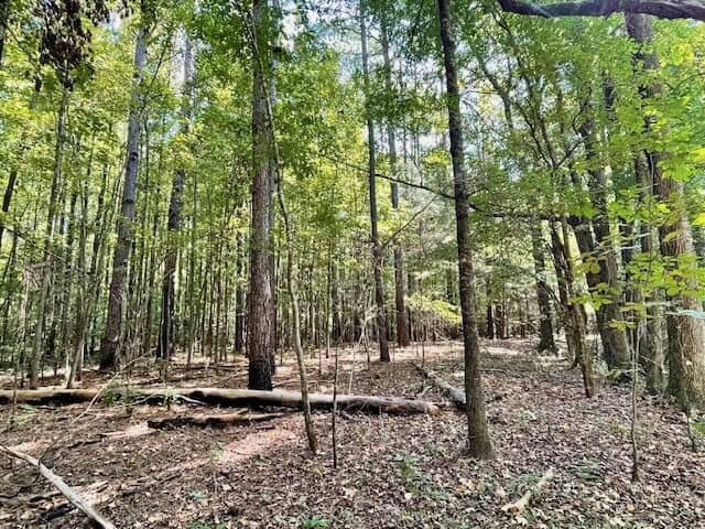 25 Acres For Sale Starkville MS