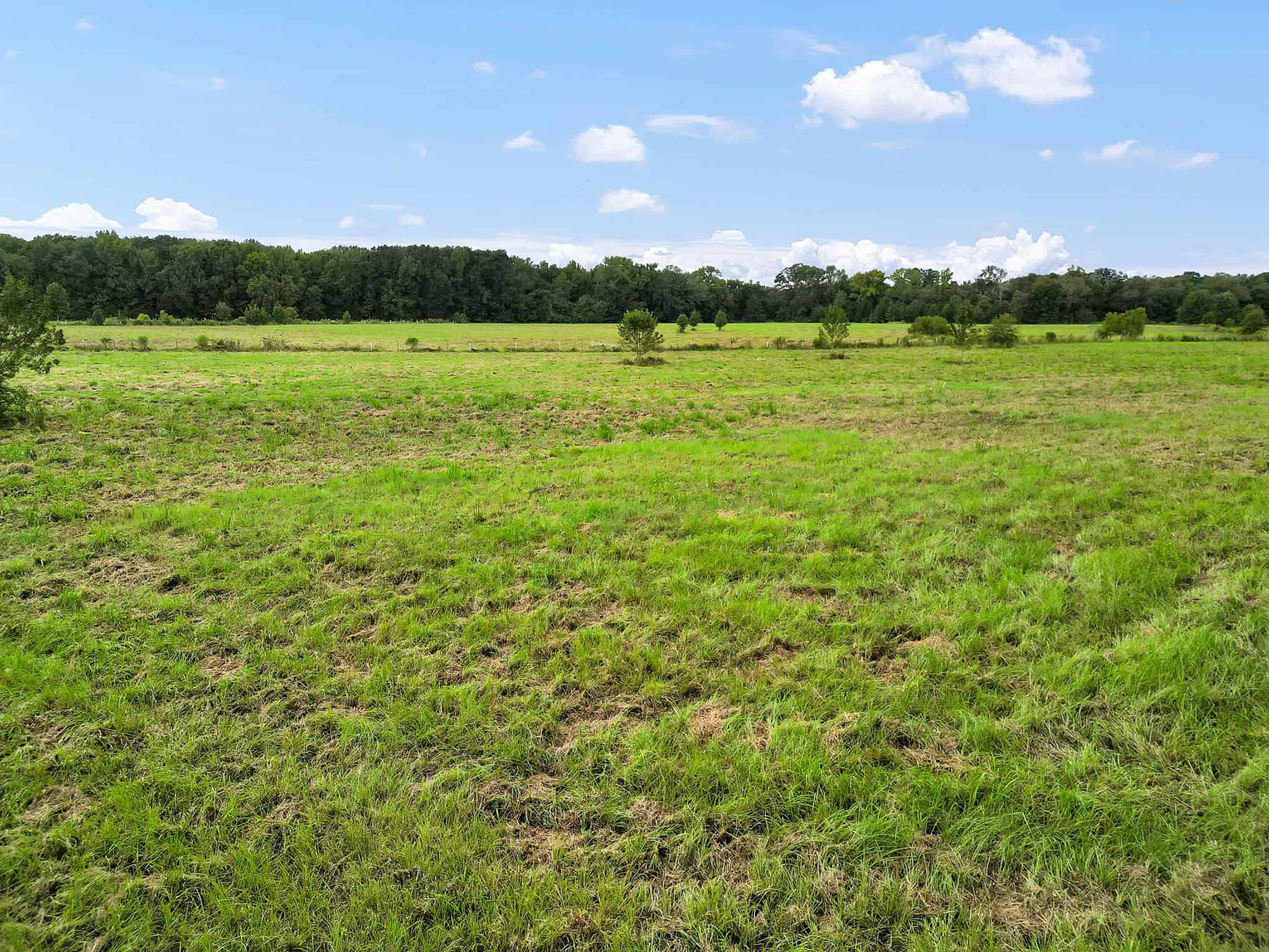 SOLD! Texas Neches Riverfront Hunting Property East of Dallas TX