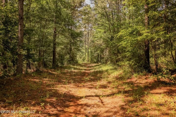 120 Acre Hunter’s Paradise in South MS for Sale