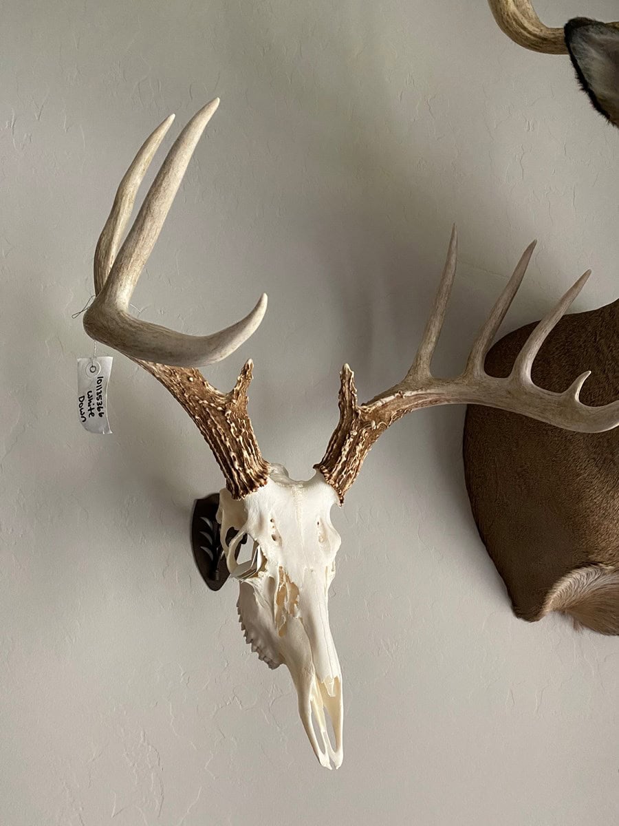 Linn County Kansas Honey Hole