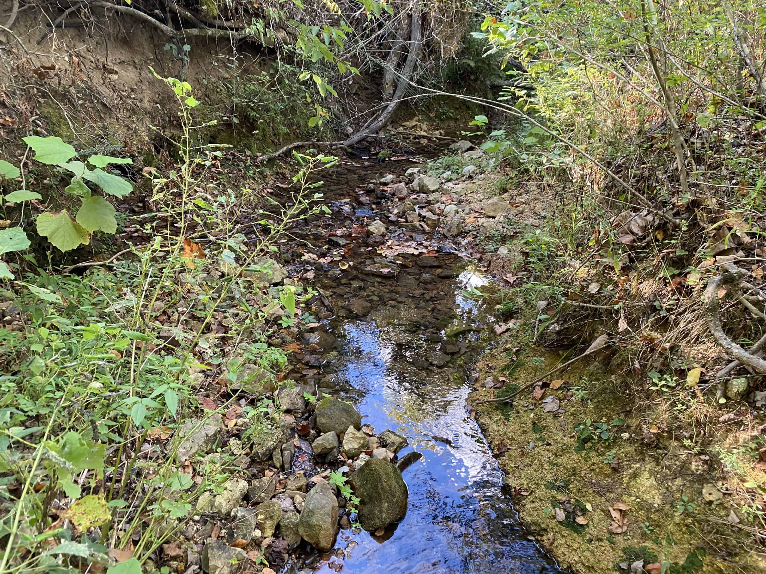 LAND FOR SALE IN TN, 32.5 ACRES+/-, OLD HOME, HUNTING, CREEK