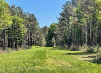 109 Acres For Sale Starkville MS