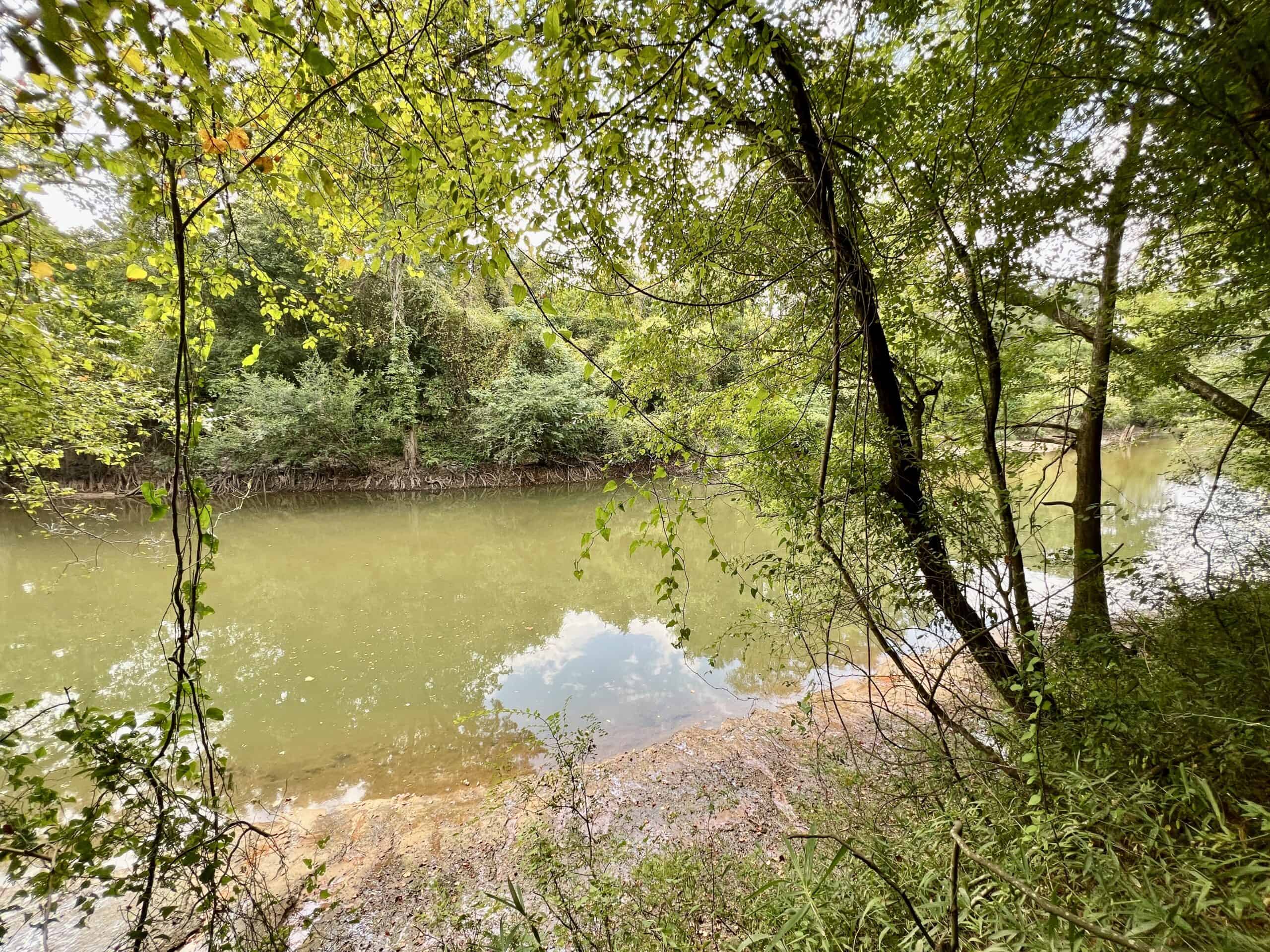 Prime Riverfront Hunting & Recreational Land for Sale in Samson Alabama!