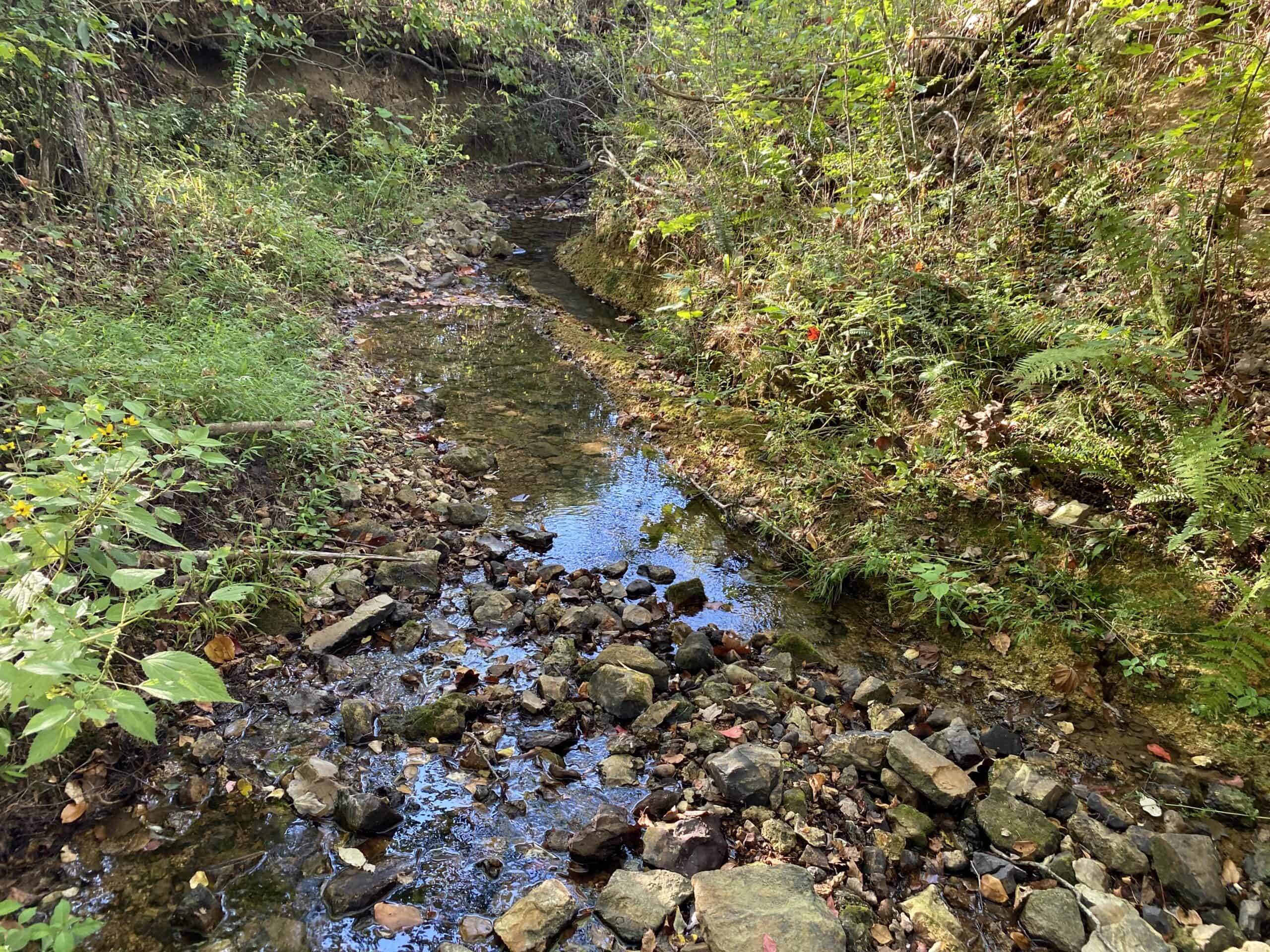 LAND FOR SALE IN TN, 21.5 ACRES+/-, OPEN & WOODED LAND, CREEK