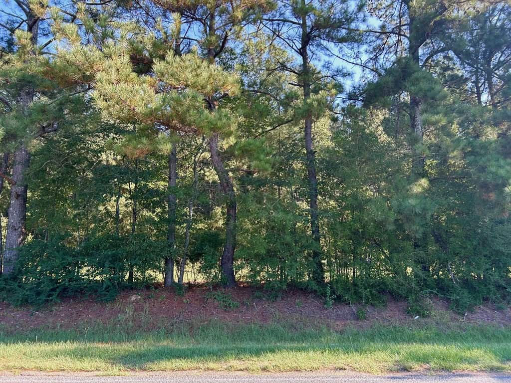 Brookhaven MS 19.7+- Acres for Sale