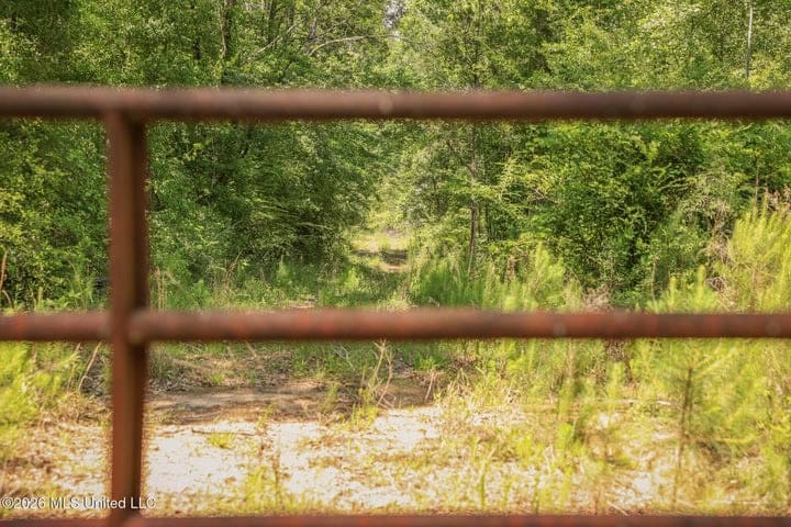 120 Acre Hunter’s Paradise in South MS for Sale