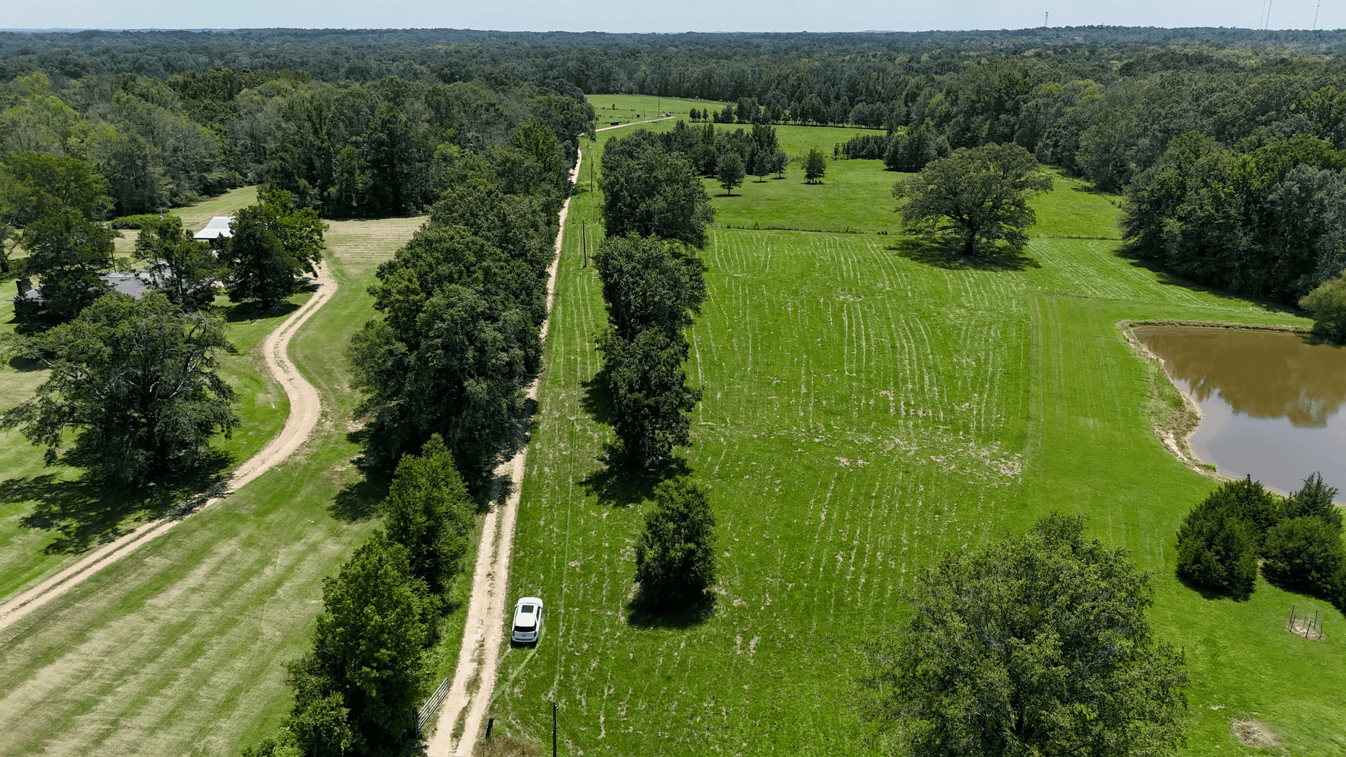 194 Acre Hunting, Homesite, and Pastureland for Sale