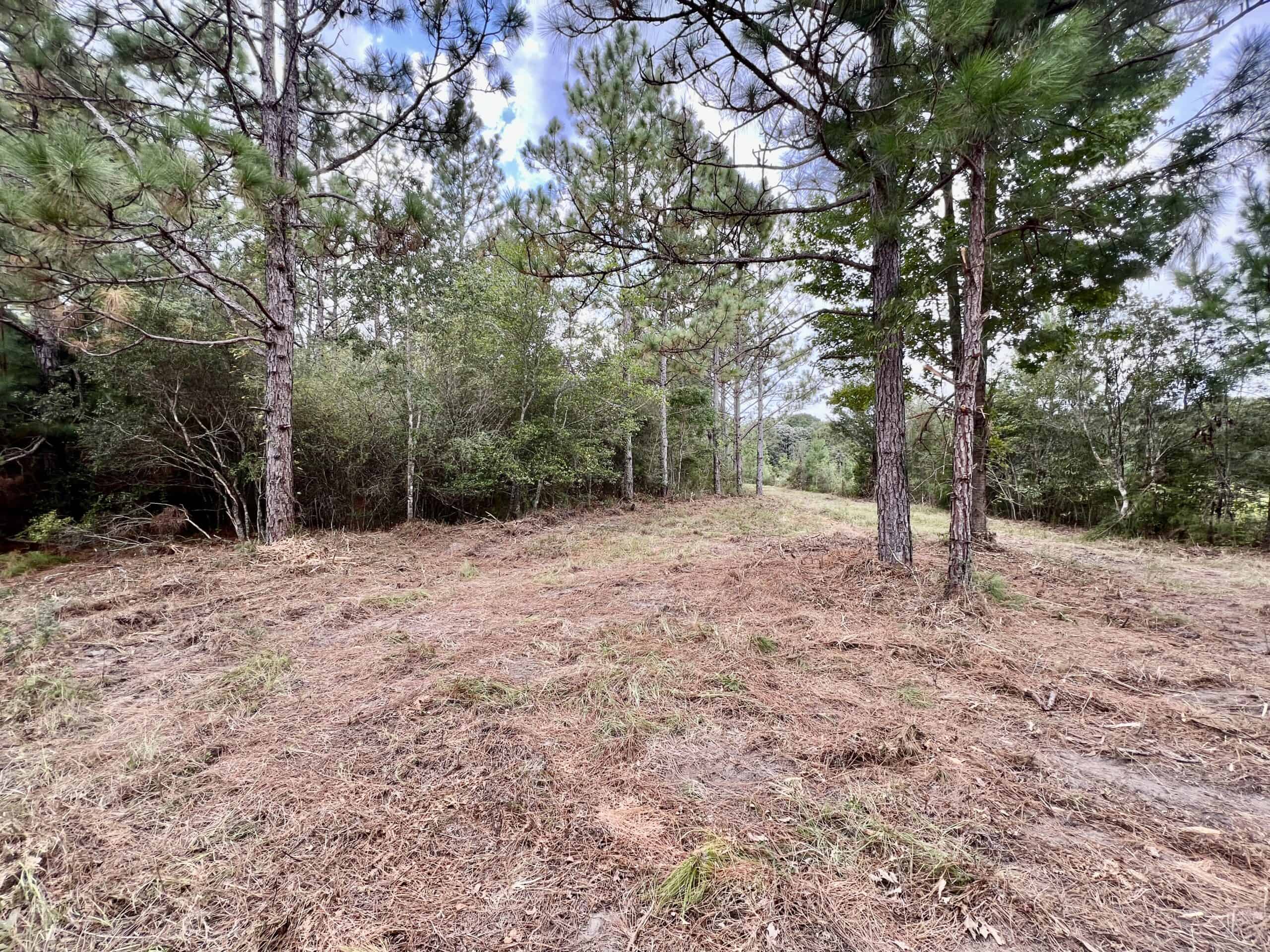 Prime Riverfront Hunting & Recreational Land for Sale in Samson Alabama!