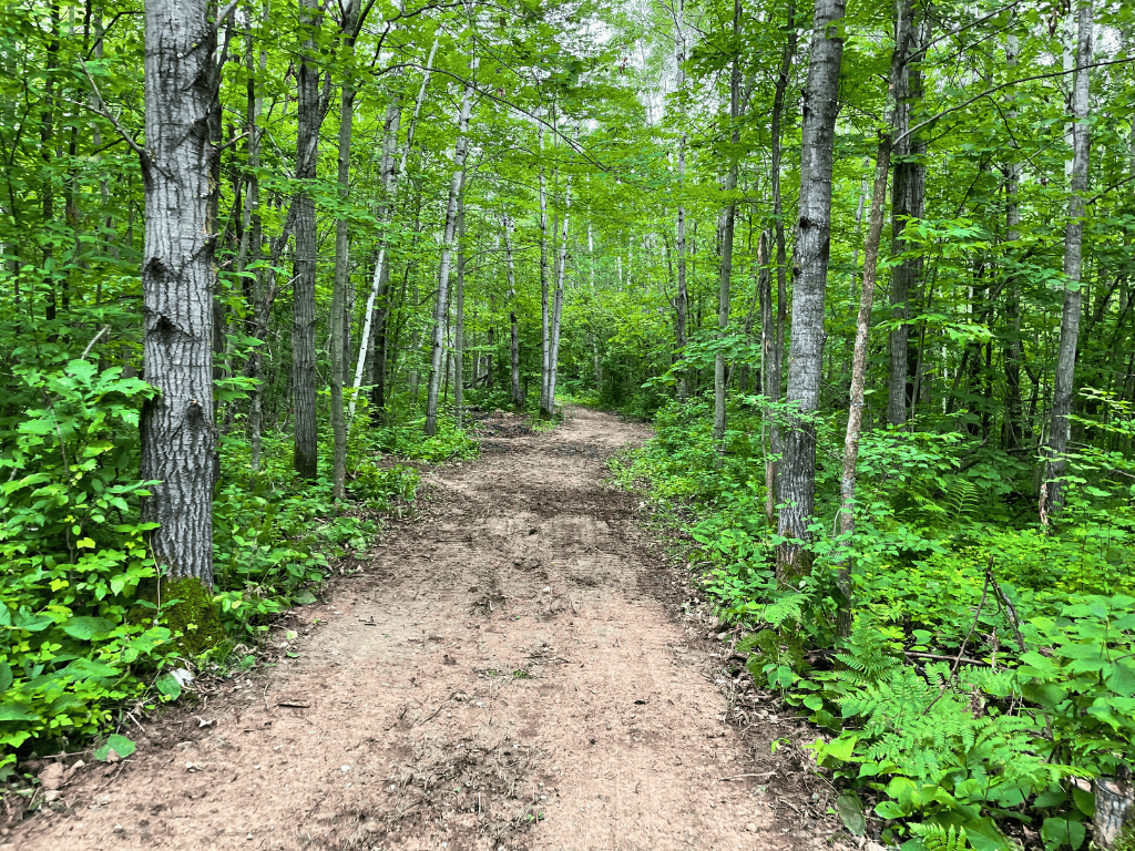 47 Ac Mississippi River Hunting Property Near Crosby, Minnesota