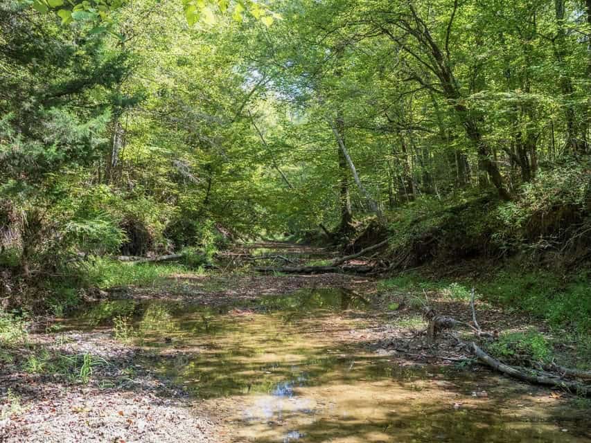 109 Acres For Sale Starkville MS