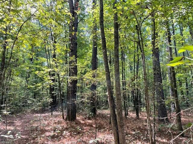 25 Acres For Sale Starkville MS