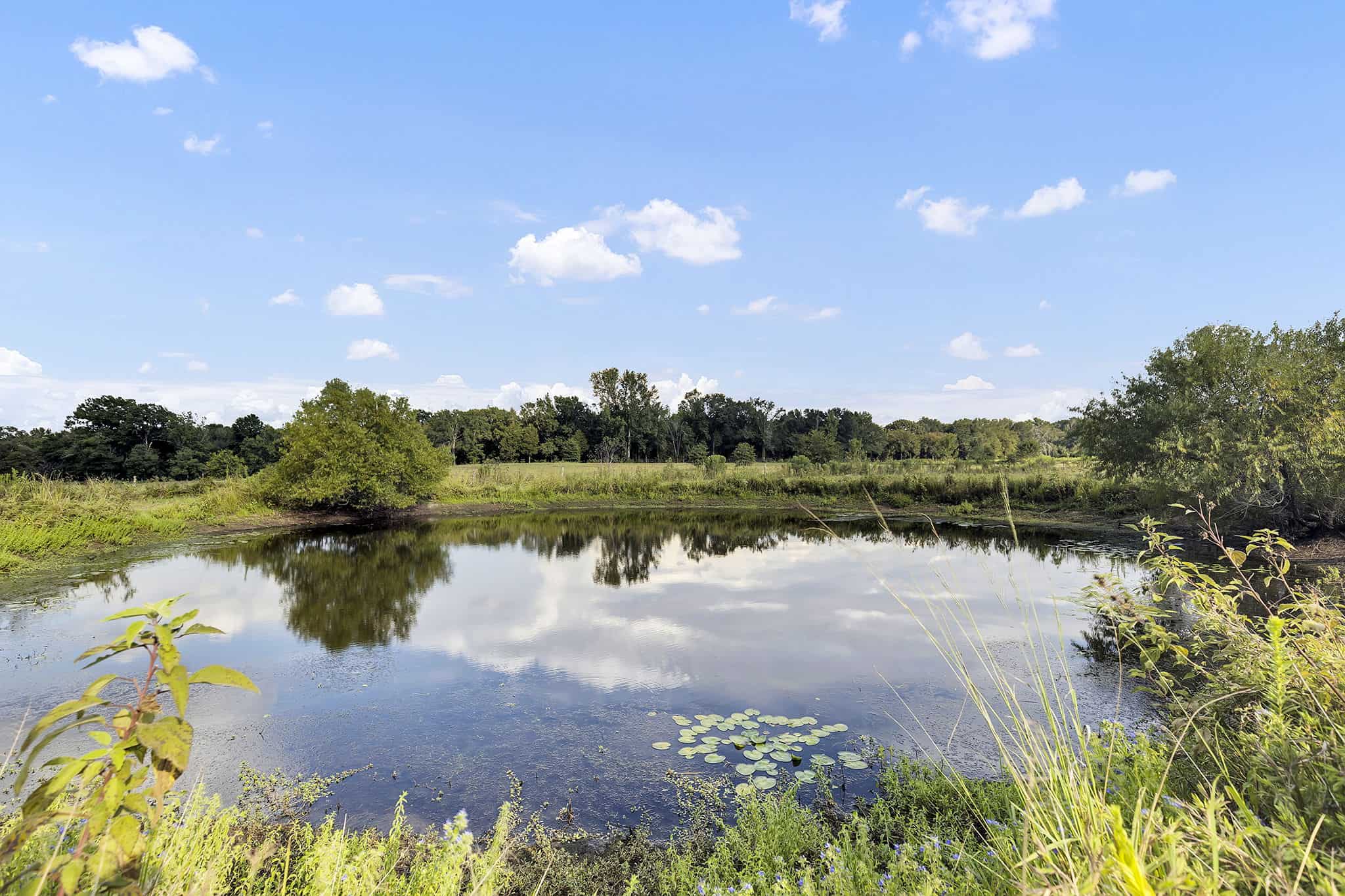 SOLD! Texas Neches Riverfront Hunting Property East of Dallas TX
