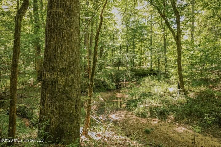 120 Acre Hunter’s Paradise in South MS for Sale