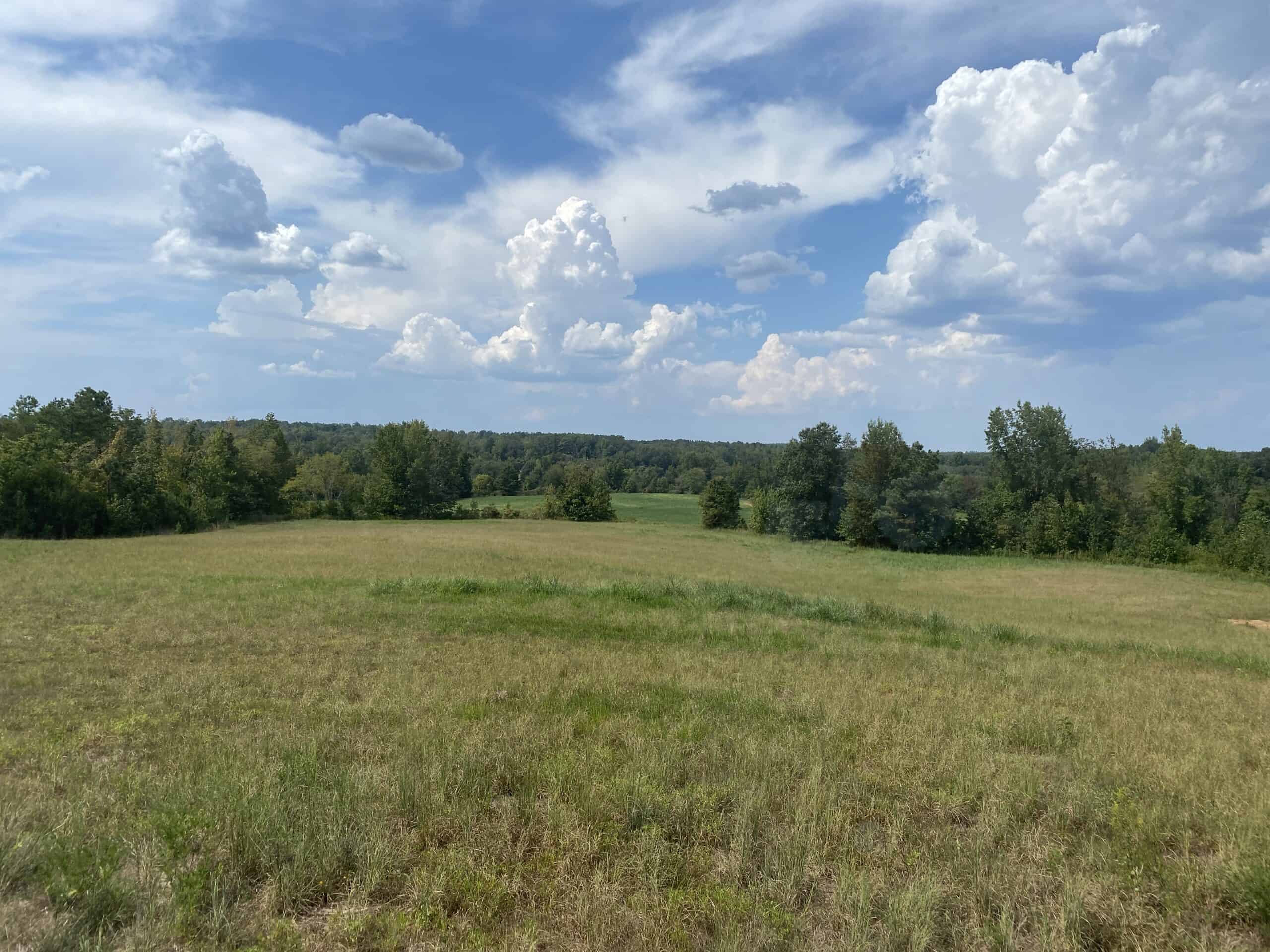 COUNTRY HOME FOR SALE IN TN, 68 AC+/-, SHEDS, POND, & CREEK