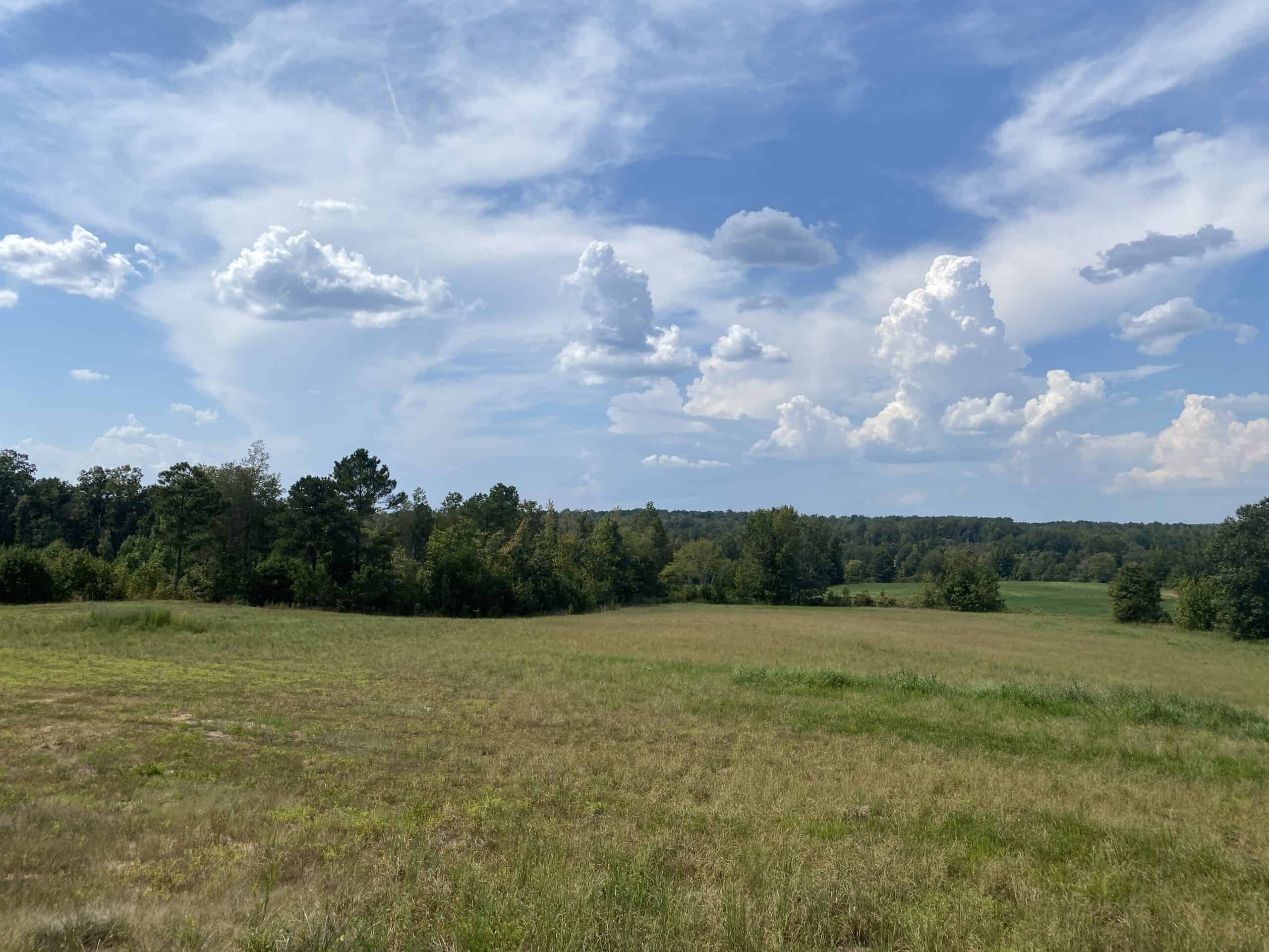 COUNTRY HOME FOR SALE IN TN, 68 AC+/-, SHEDS, POND, & CREEK