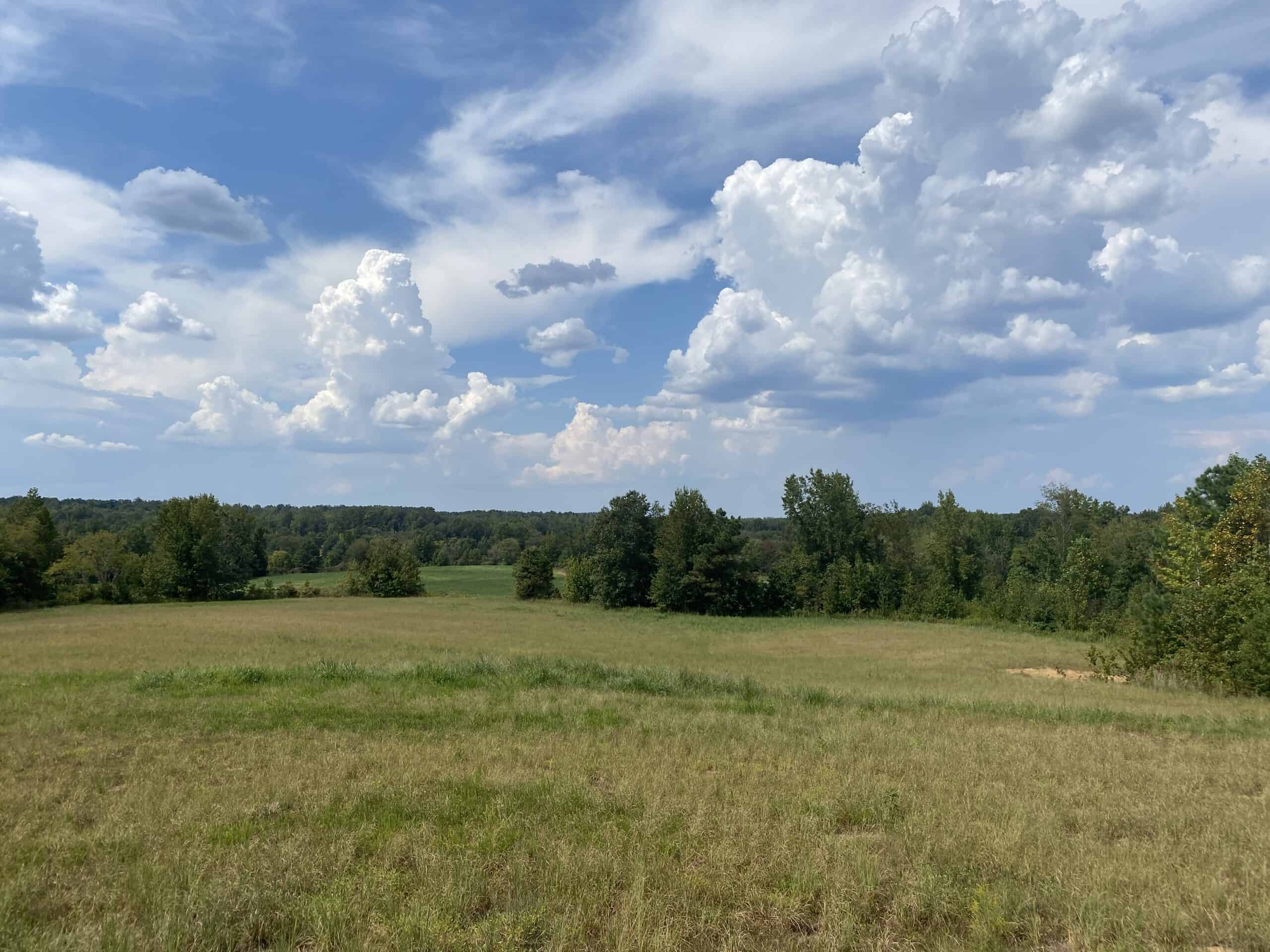 COUNTRY HOME FOR SALE IN TN, 68 AC+/-, SHEDS, POND, & CREEK