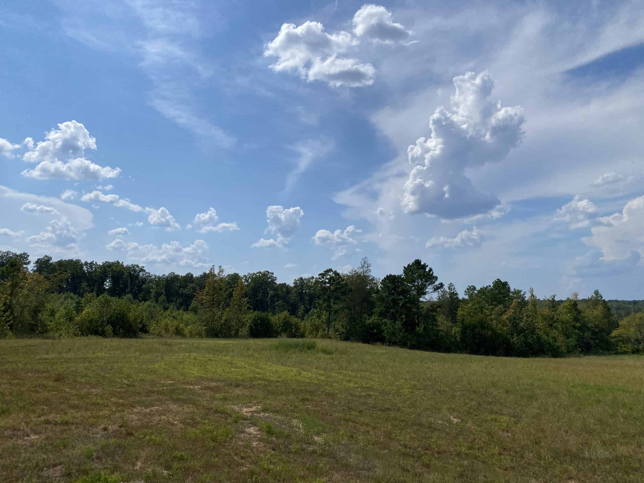 COUNTRY HOME FOR SALE IN TN, 68 AC+/-, SHEDS, POND, & CREEK