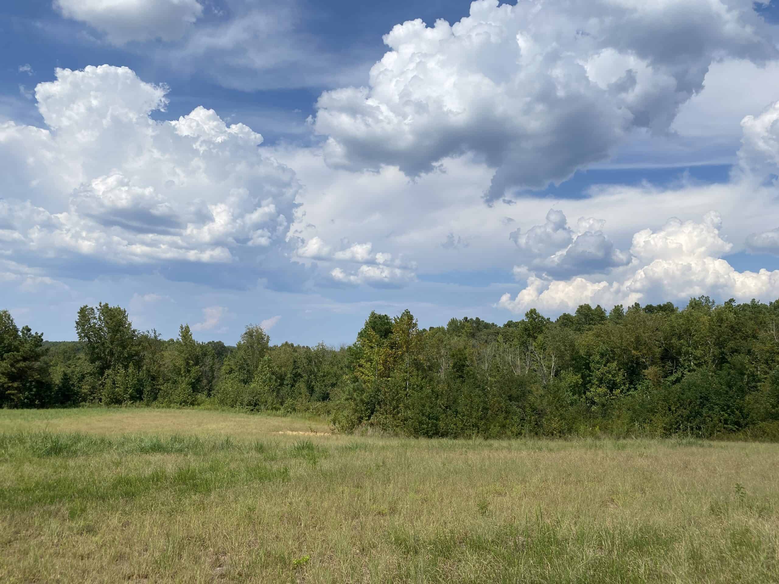 COUNTRY HOME FOR SALE IN TN, 68 AC+/-, SHEDS, POND, & CREEK