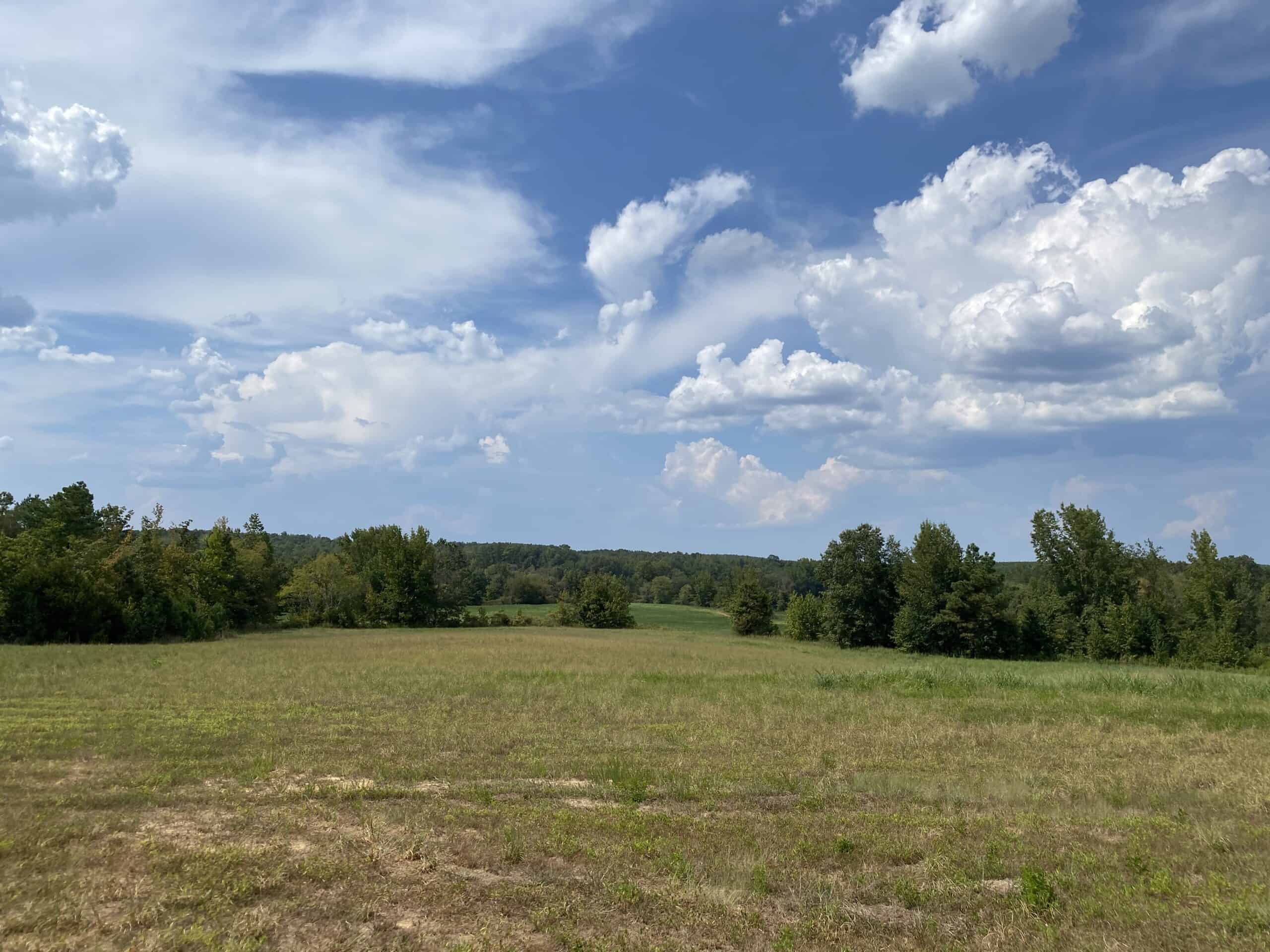 COUNTRY HOME FOR SALE IN TN, 68 AC+/-, SHEDS, POND, & CREEK