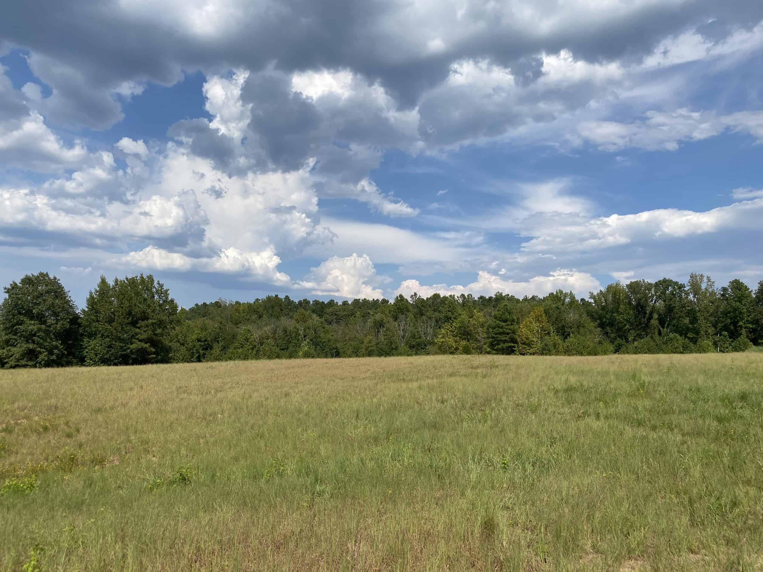 COUNTRY HOME FOR SALE IN TN, 68 AC+/-, SHEDS, POND, & CREEK