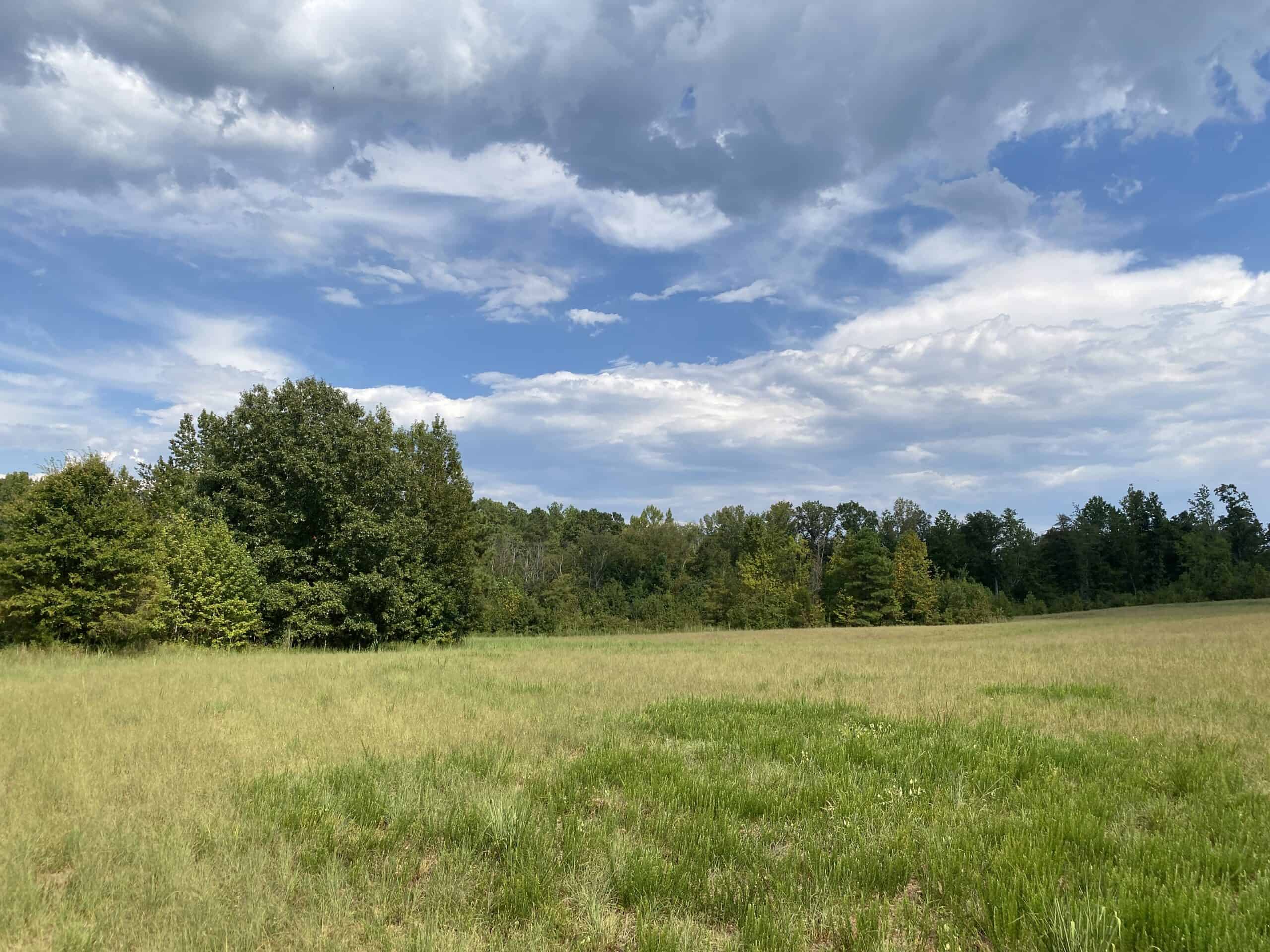 COUNTRY HOME FOR SALE IN TN, 68 AC+/-, SHEDS, POND, & CREEK