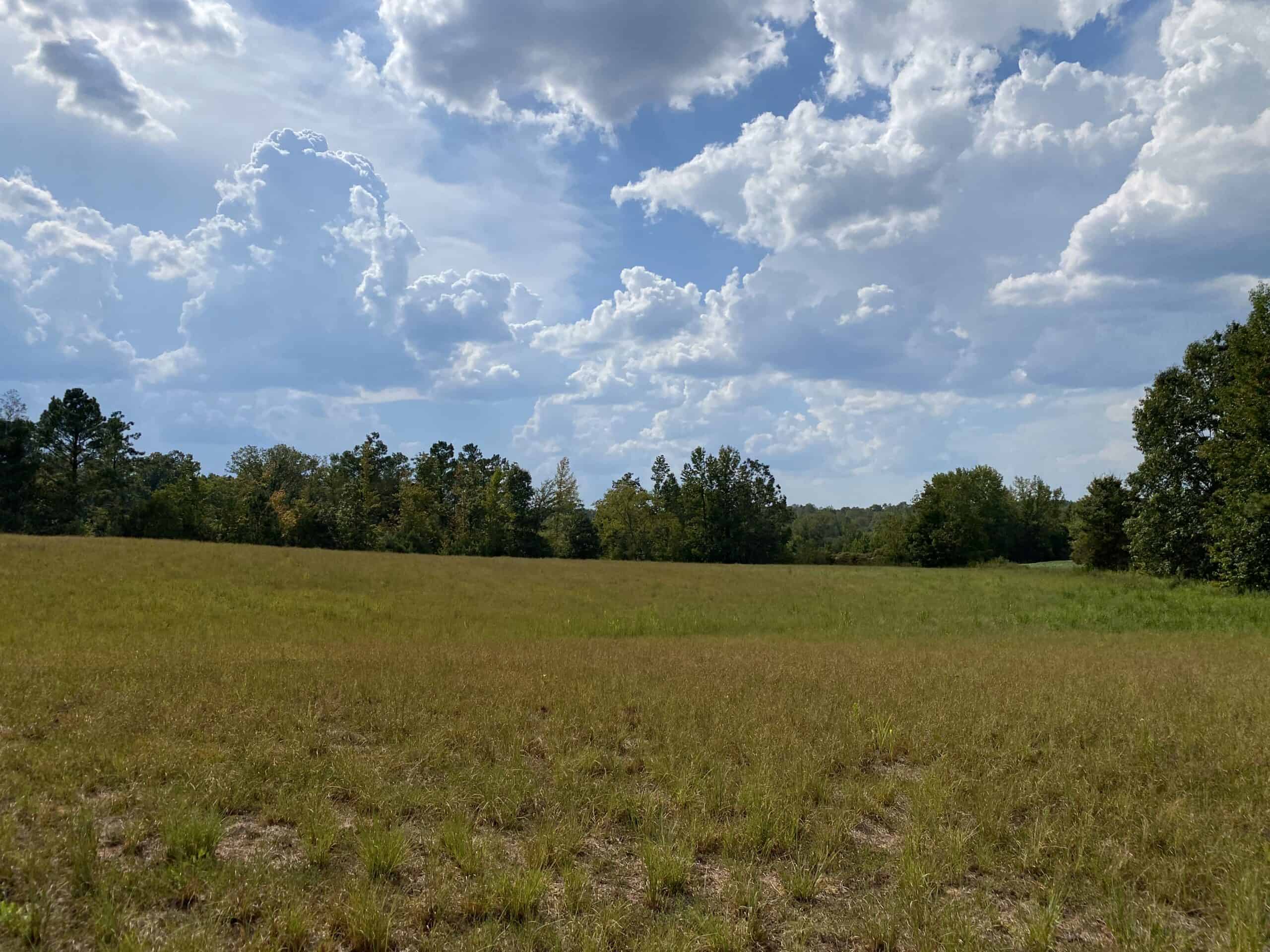 COUNTRY HOME FOR SALE IN TN, 68 AC+/-, SHEDS, POND, & CREEK