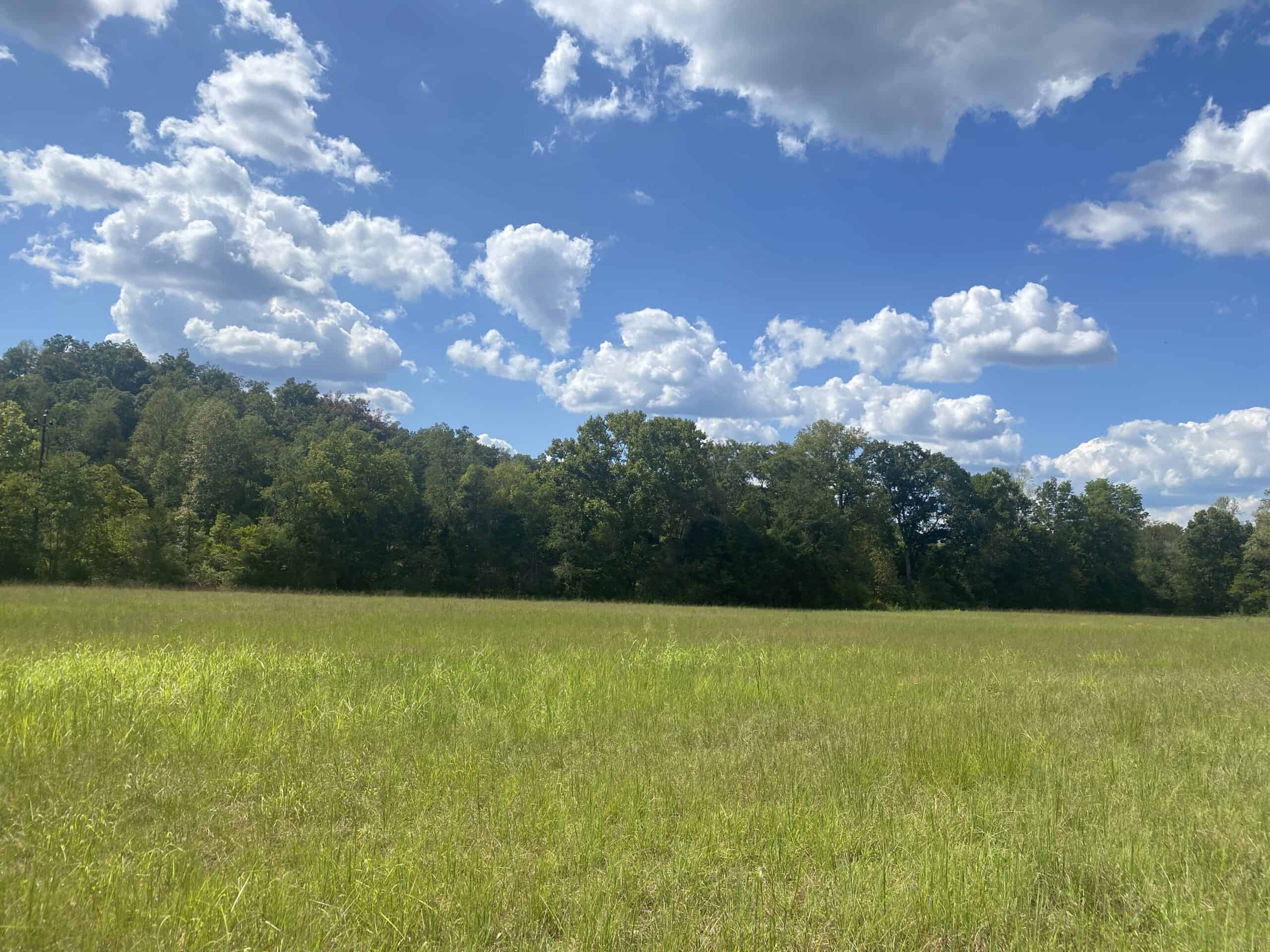 LAND FOR SALE IN TN, 21.5 ACRES+/-, OPEN & WOODED LAND, CREEK