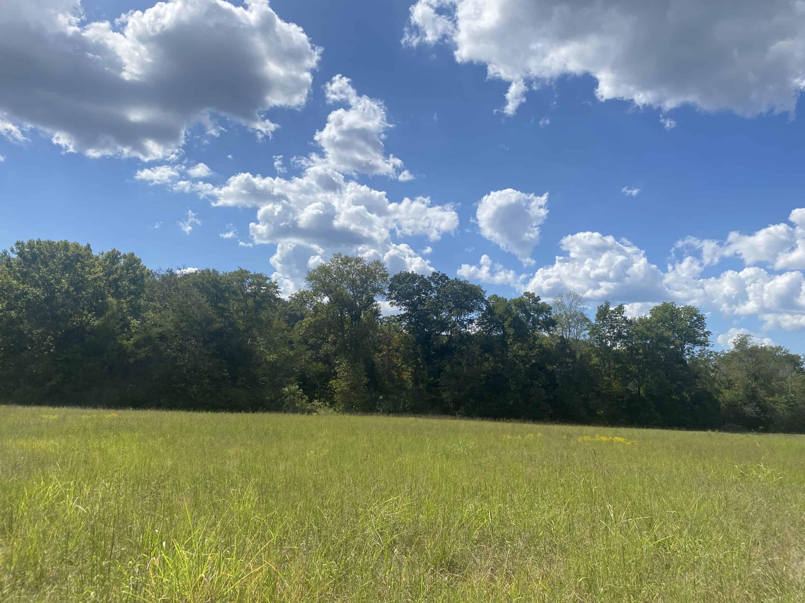 LAND FOR SALE IN TN, 21.5 ACRES+/-, OPEN & WOODED LAND, CREEK
