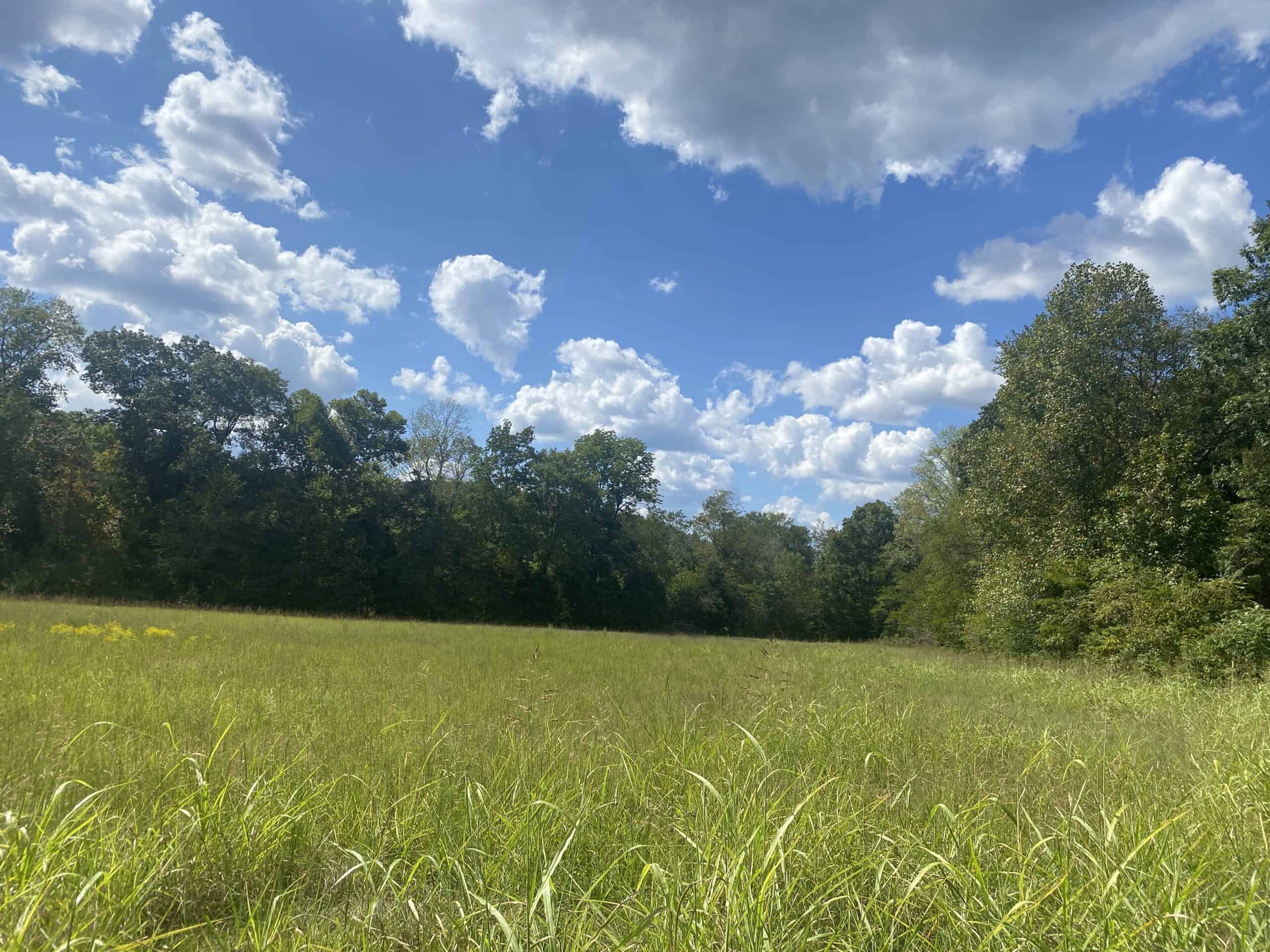 LAND FOR SALE IN TN, 21.5 ACRES+/-, OPEN & WOODED LAND, CREEK