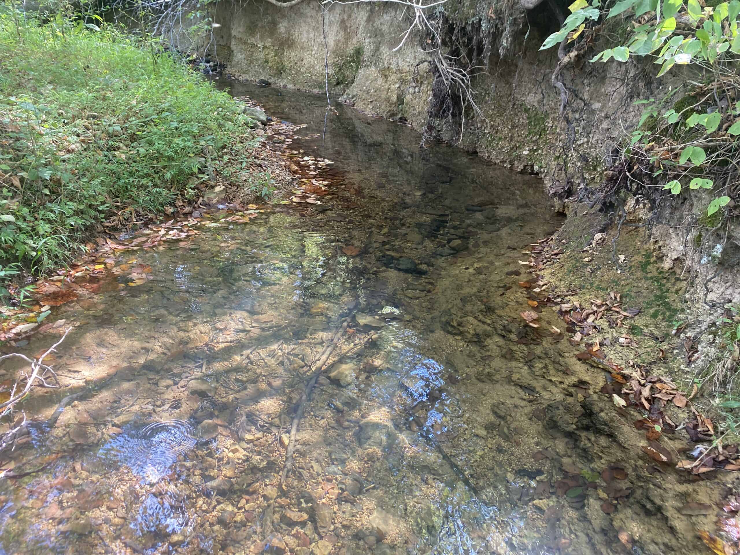 LAND FOR SALE IN TN, 21.5 ACRES+/-, OPEN & WOODED LAND, CREEK