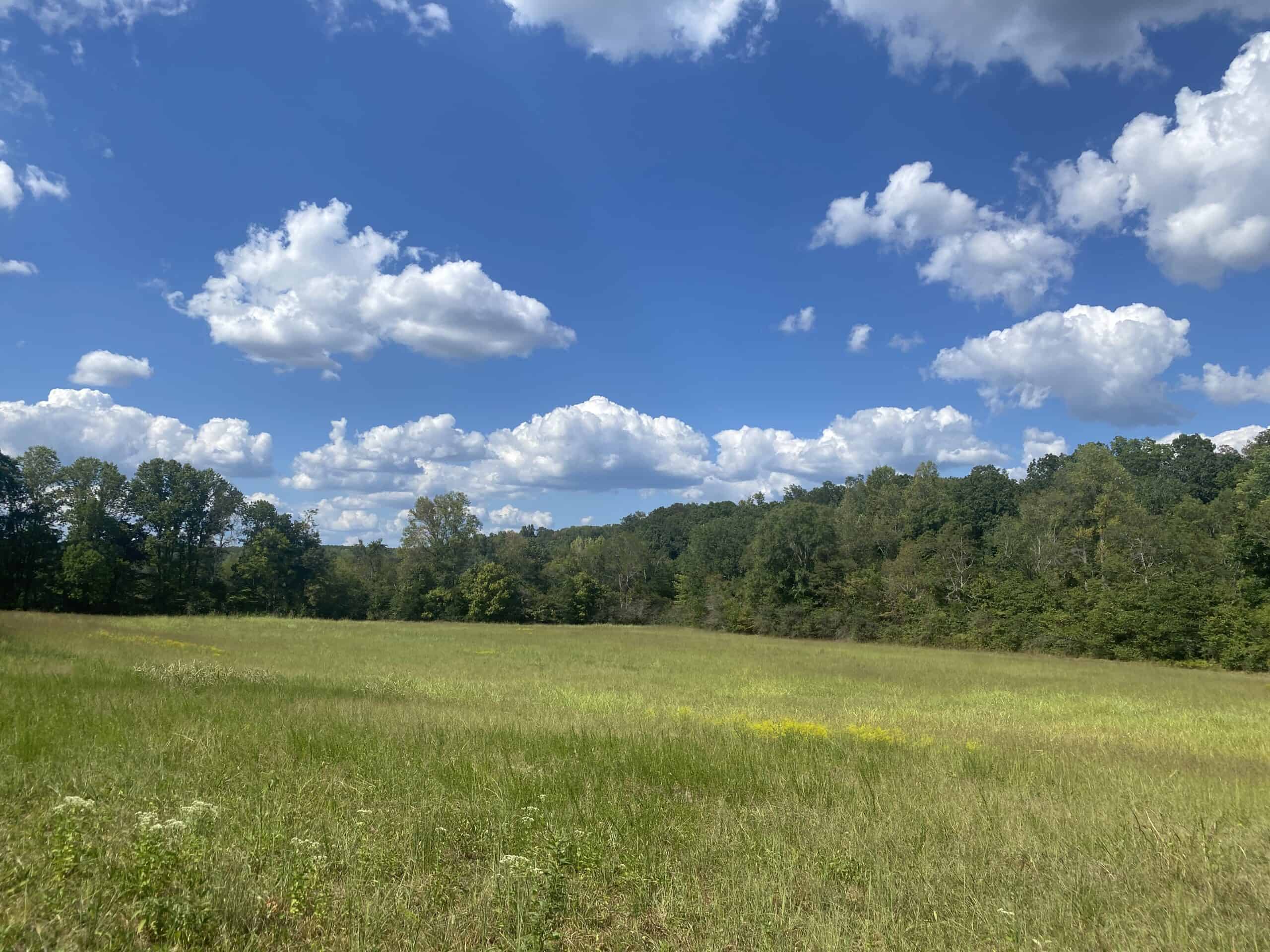 LAND FOR SALE IN TN, 21.5 ACRES+/-, OPEN & WOODED LAND, CREEK