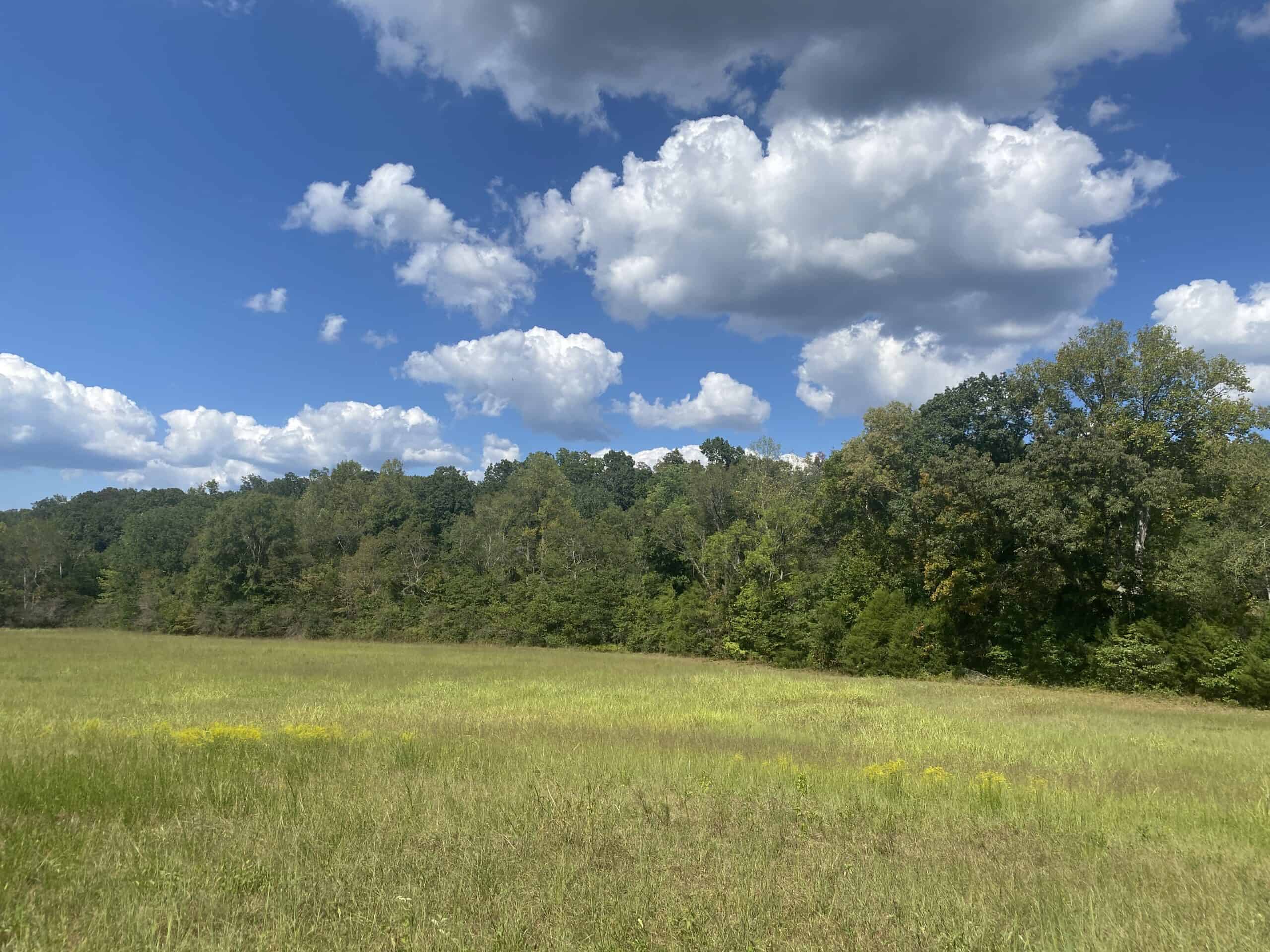 LAND FOR SALE IN TN, 21.5 ACRES+/-, OPEN & WOODED LAND, CREEK