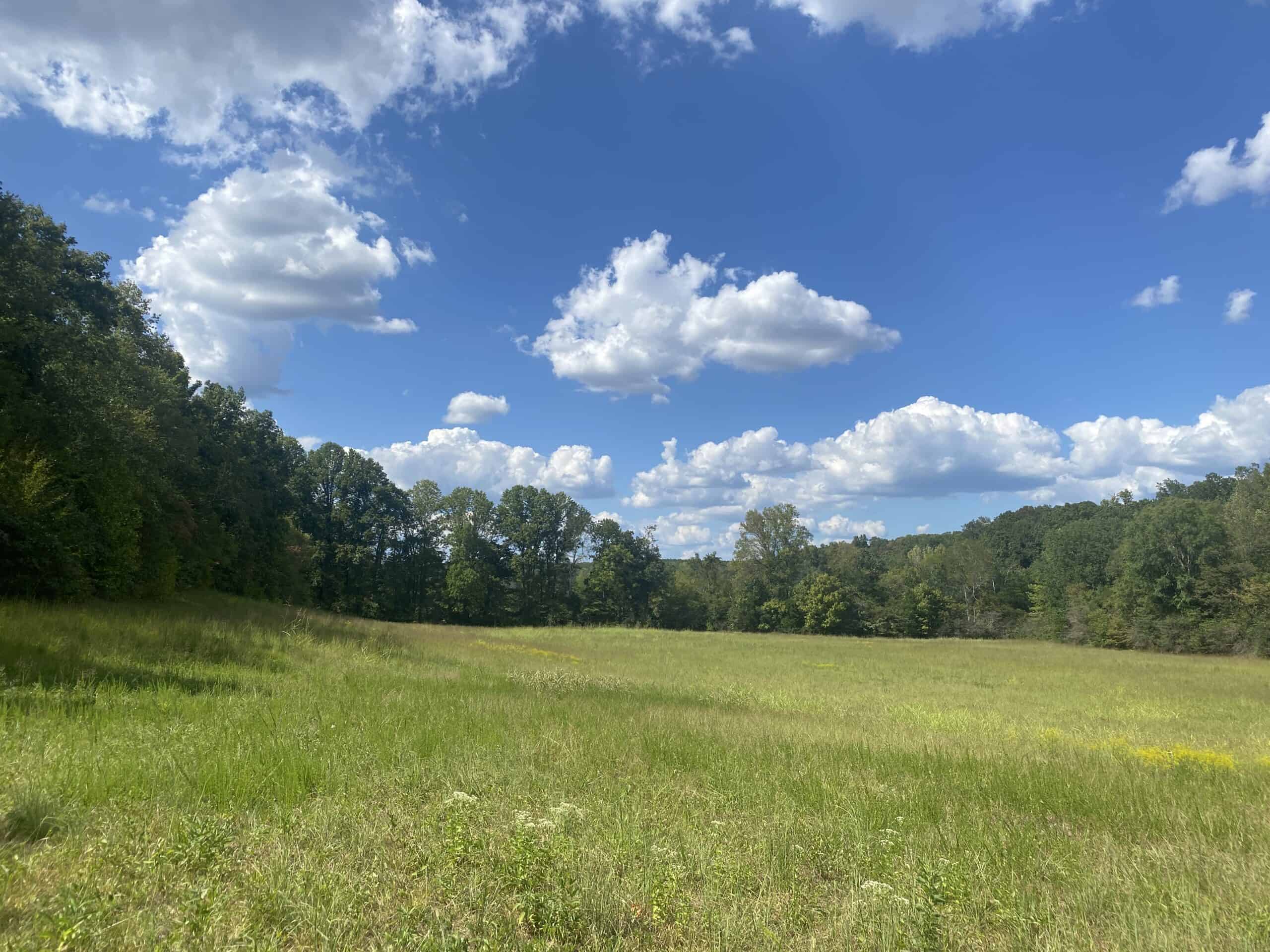 LAND FOR SALE IN TN, 21.5 ACRES+/-, OPEN & WOODED LAND, CREEK