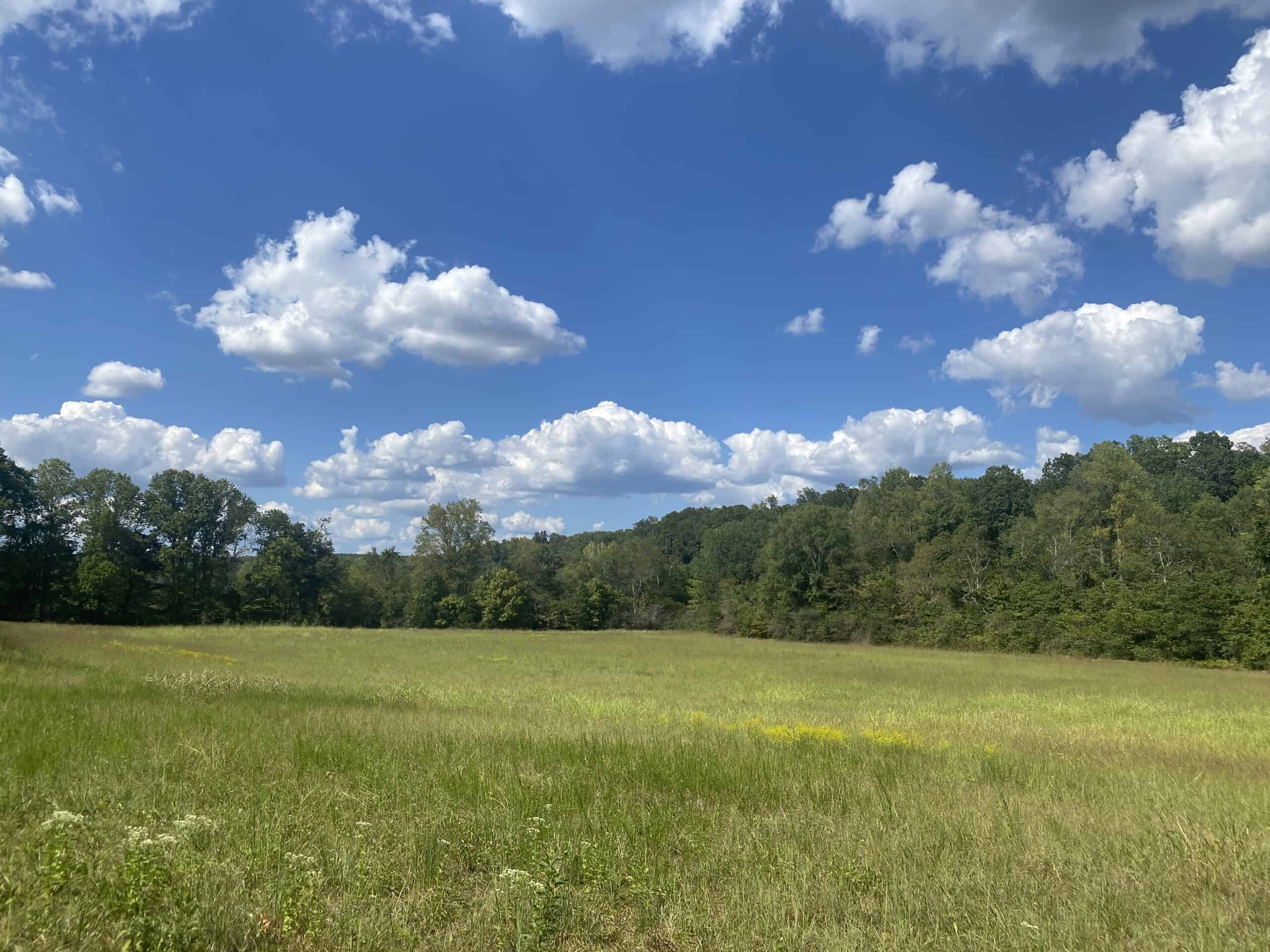 LAND FOR SALE IN TN, 21.5 ACRES+/-, OPEN & WOODED LAND, CREEK