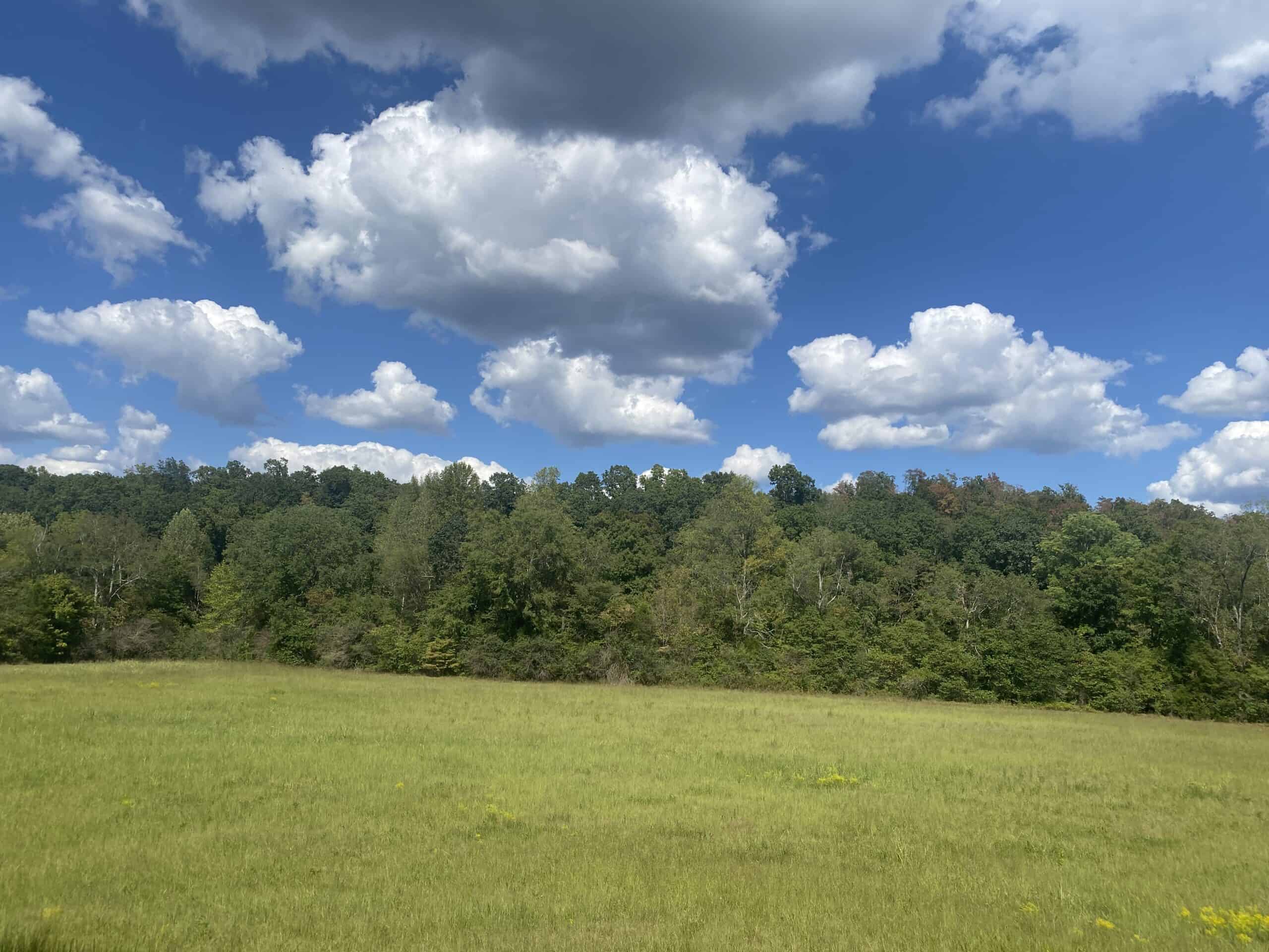 LAND FOR SALE IN TN, 21.5 ACRES+/-, OPEN & WOODED LAND, CREEK