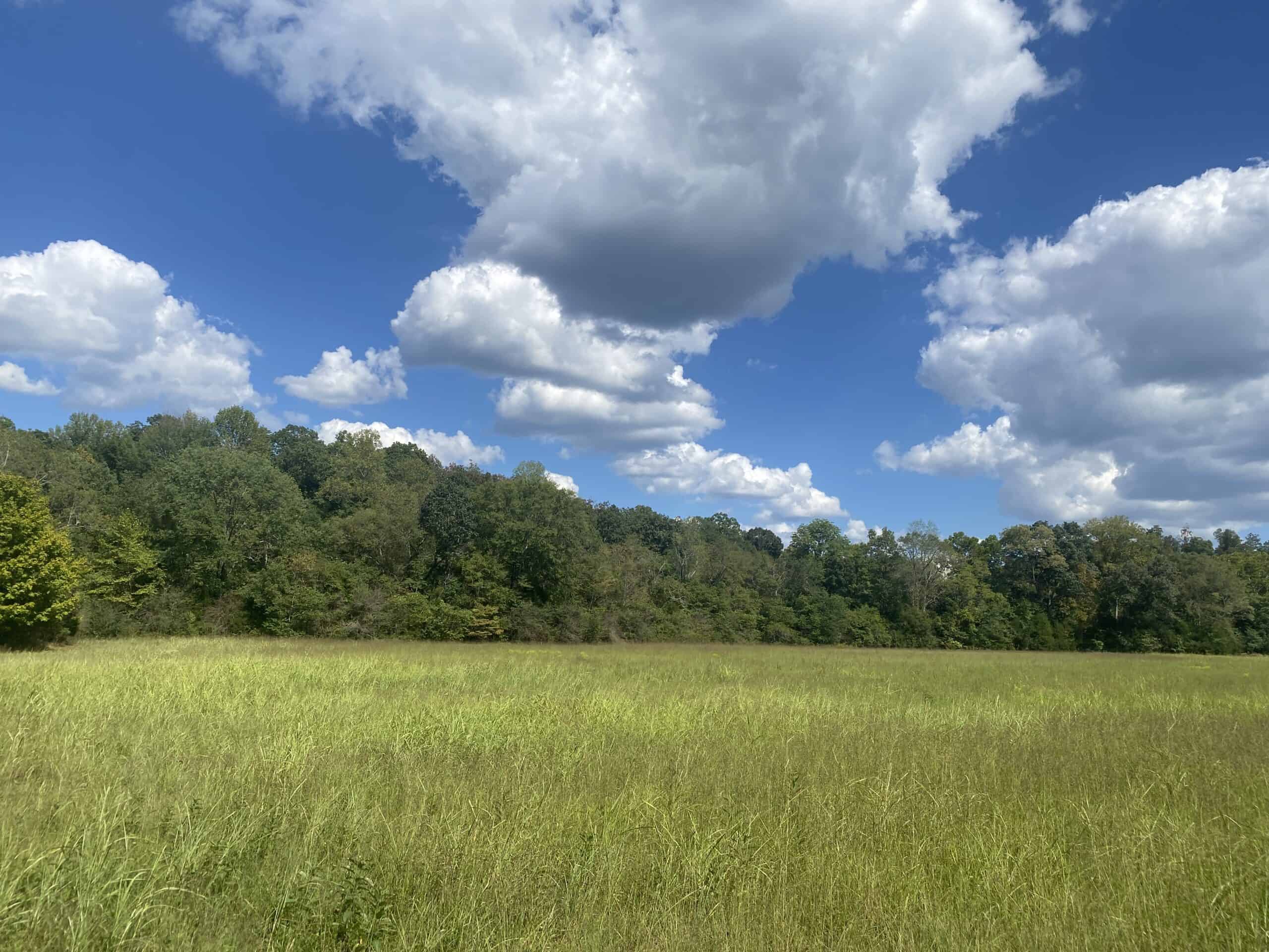 LAND FOR SALE IN TN, 21.5 ACRES+/-, OPEN & WOODED LAND, CREEK