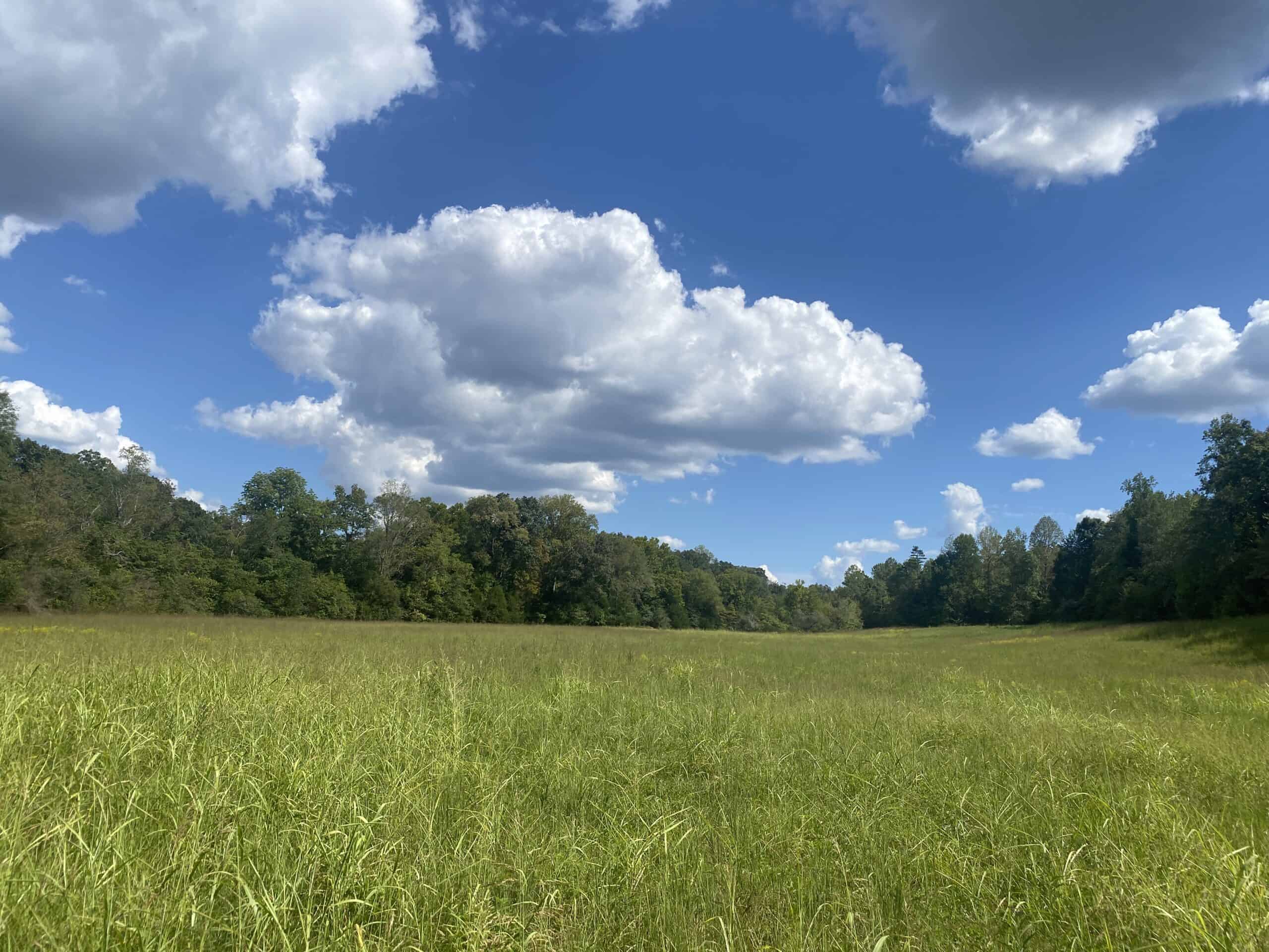 LAND FOR SALE IN TN, 21.5 ACRES+/-, OPEN & WOODED LAND, CREEK