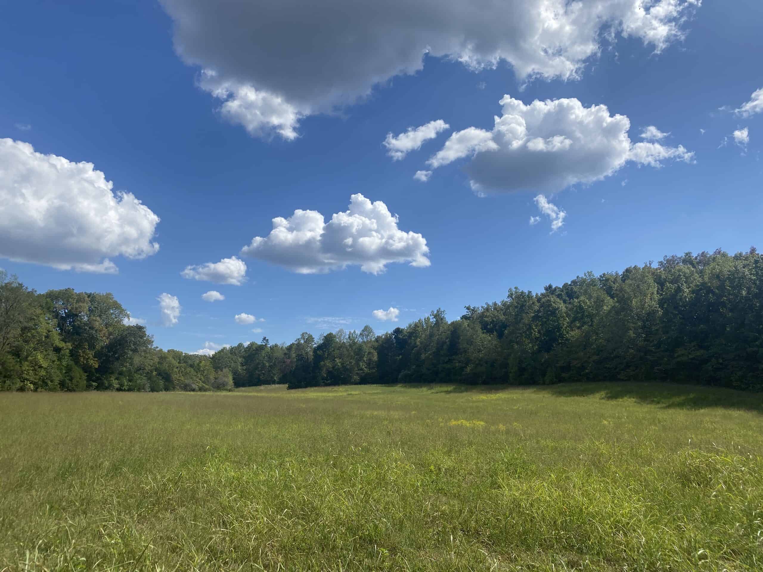 LAND FOR SALE IN TN, 21.5 ACRES+/-, OPEN & WOODED LAND, CREEK