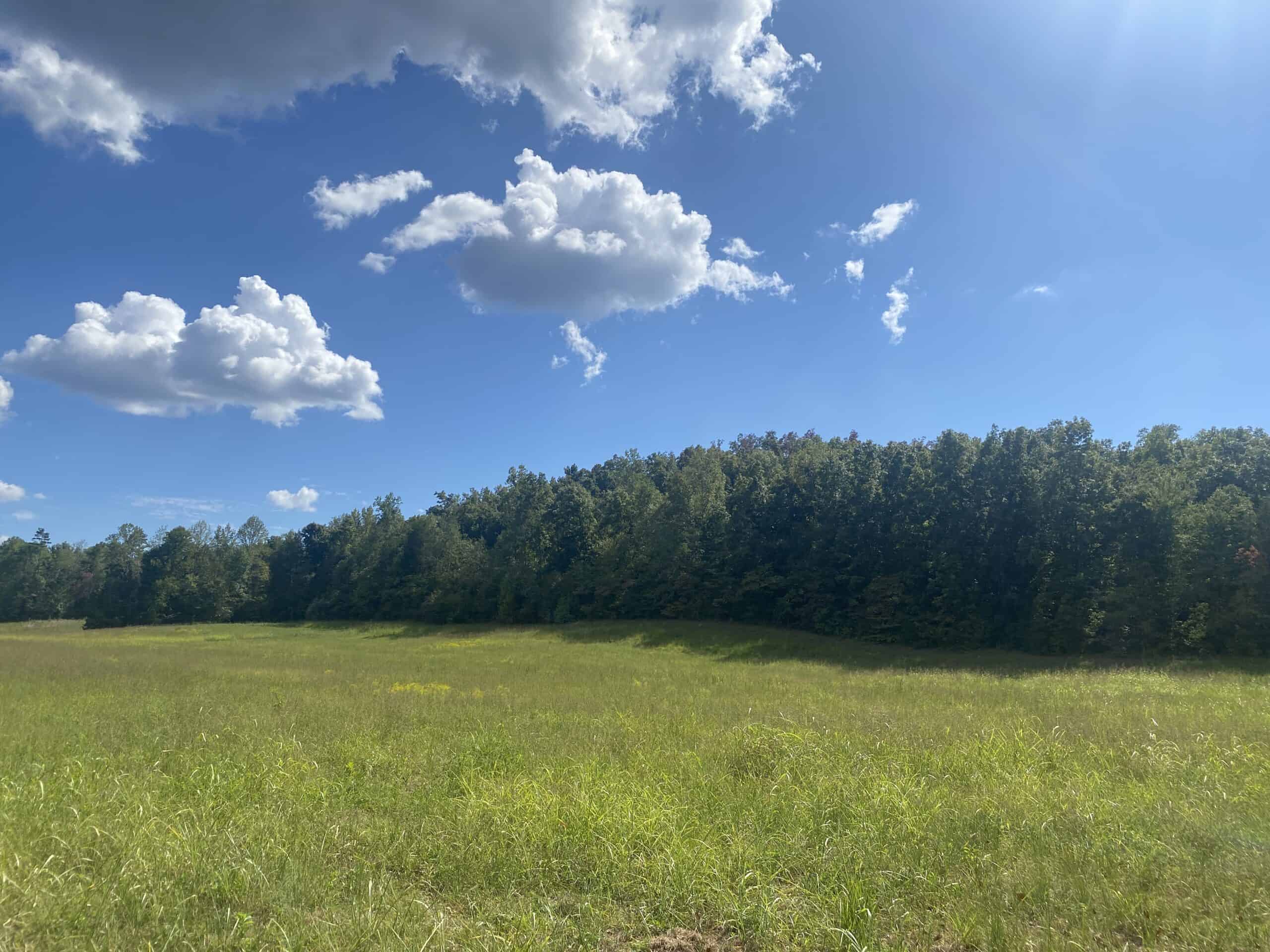LAND FOR SALE IN TN, 21.5 ACRES+/-, OPEN & WOODED LAND, CREEK