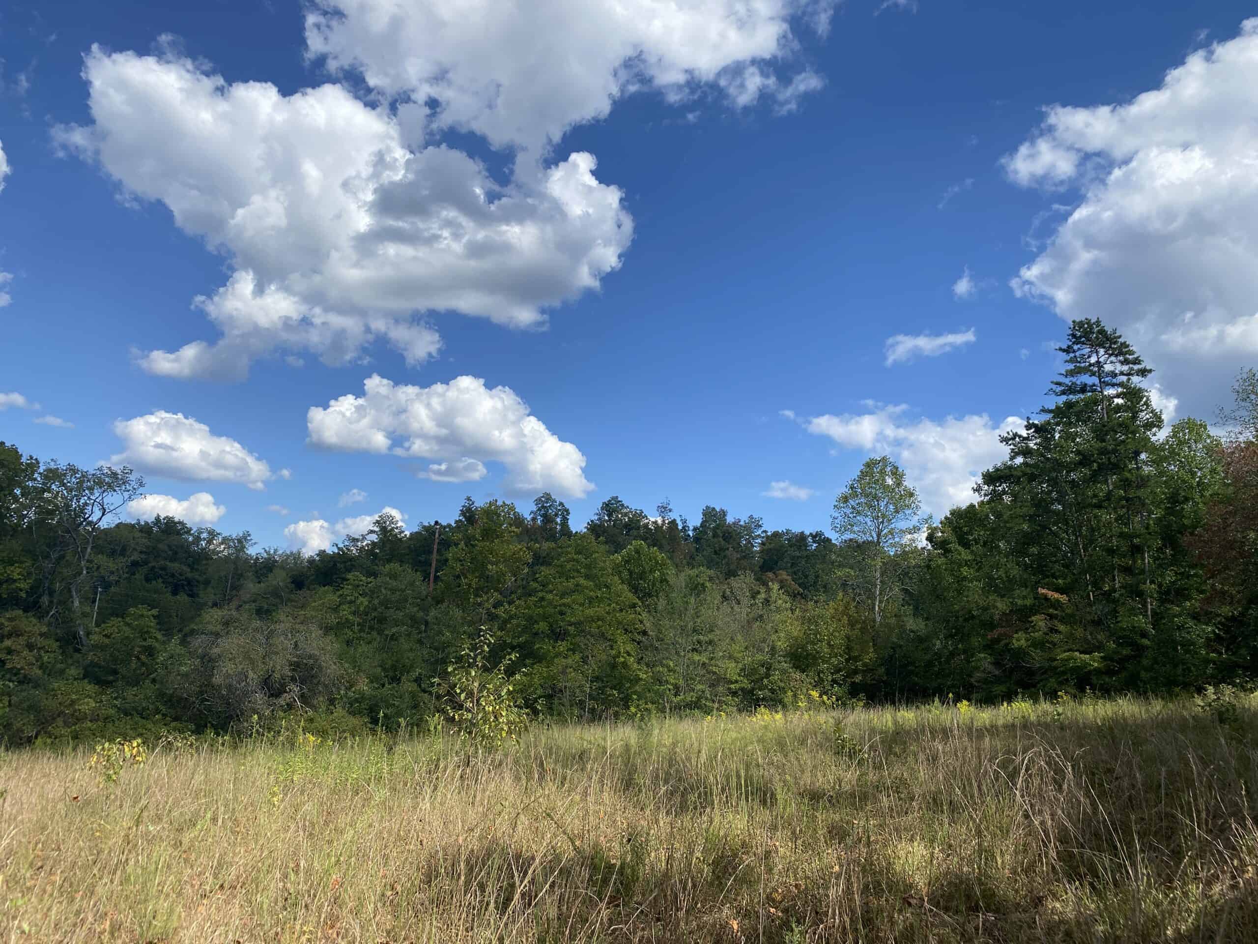 LAND FOR SALE IN TN, 21.5 ACRES+/-, OPEN & WOODED LAND, CREEK