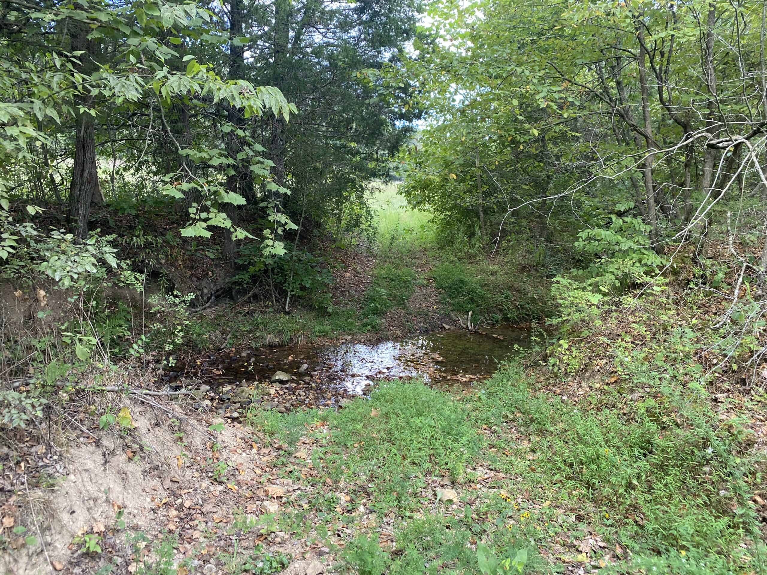 LAND FOR SALE IN TN, 21.5 ACRES+/-, OPEN & WOODED LAND, CREEK