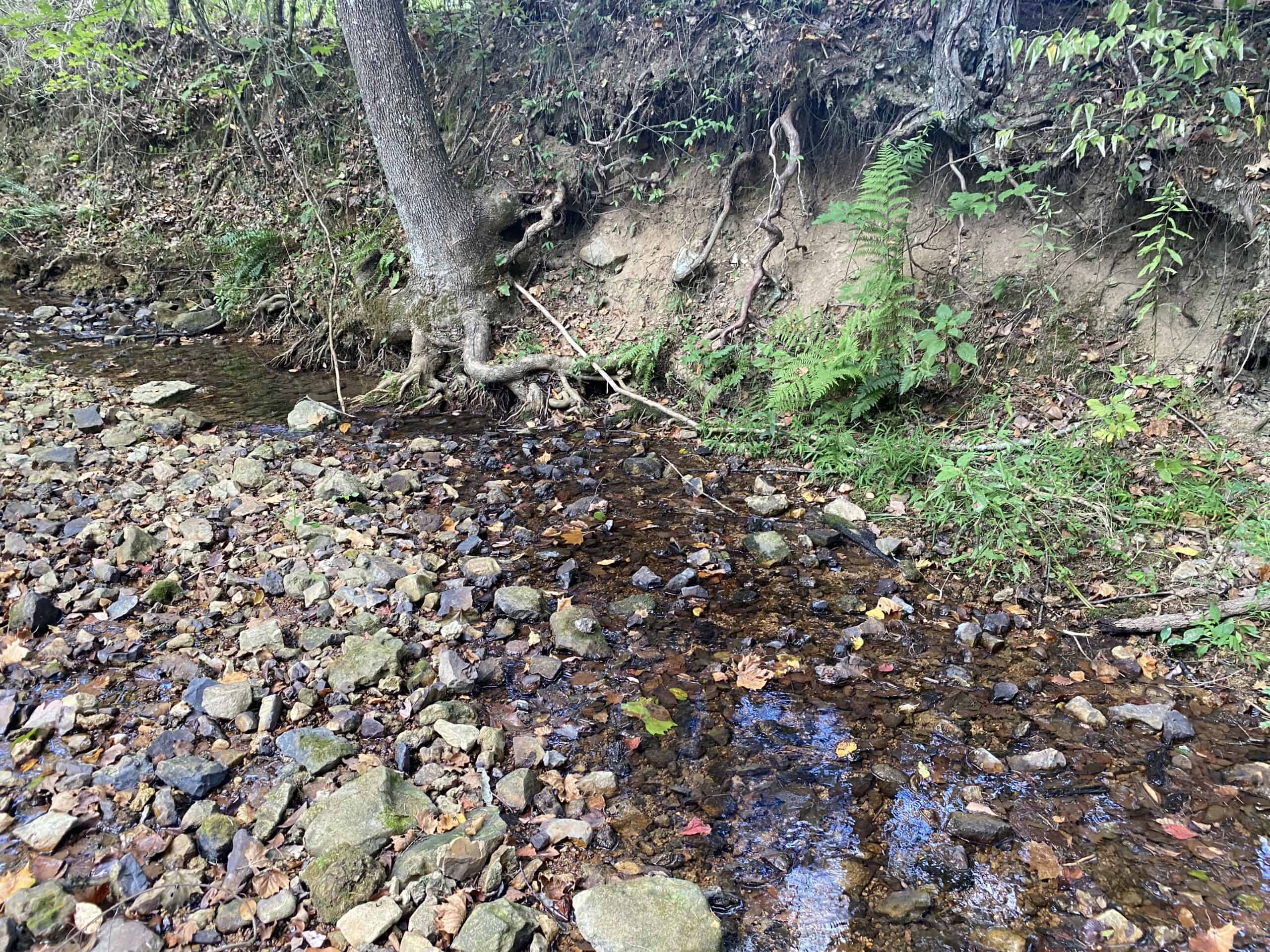 LAND FOR SALE IN TN, 21.5 ACRES+/-, OPEN & WOODED LAND, CREEK