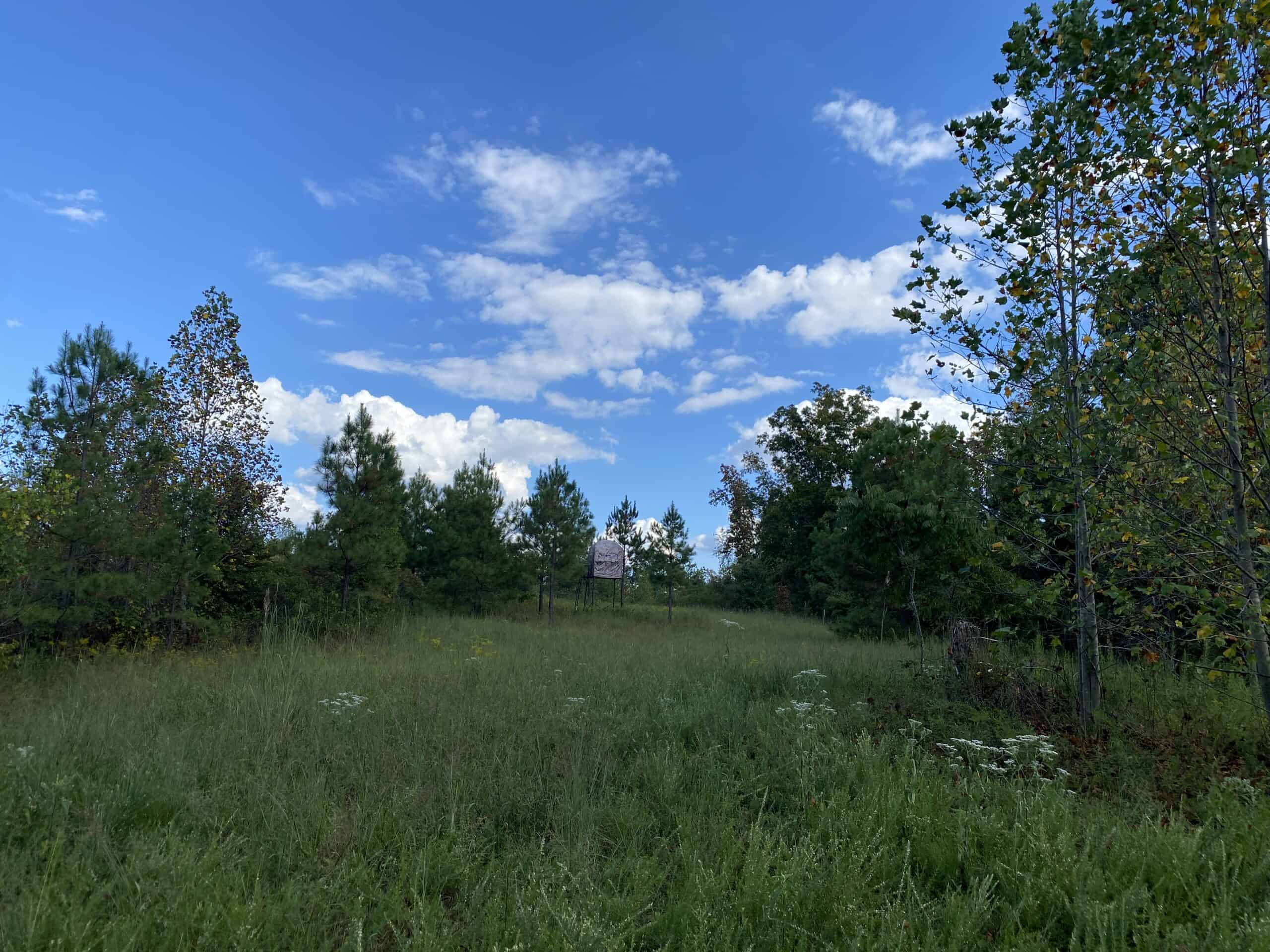 LAND FOR SALE IN TN, 32.5 ACRES+/-, OLD HOME, HUNTING, CREEK