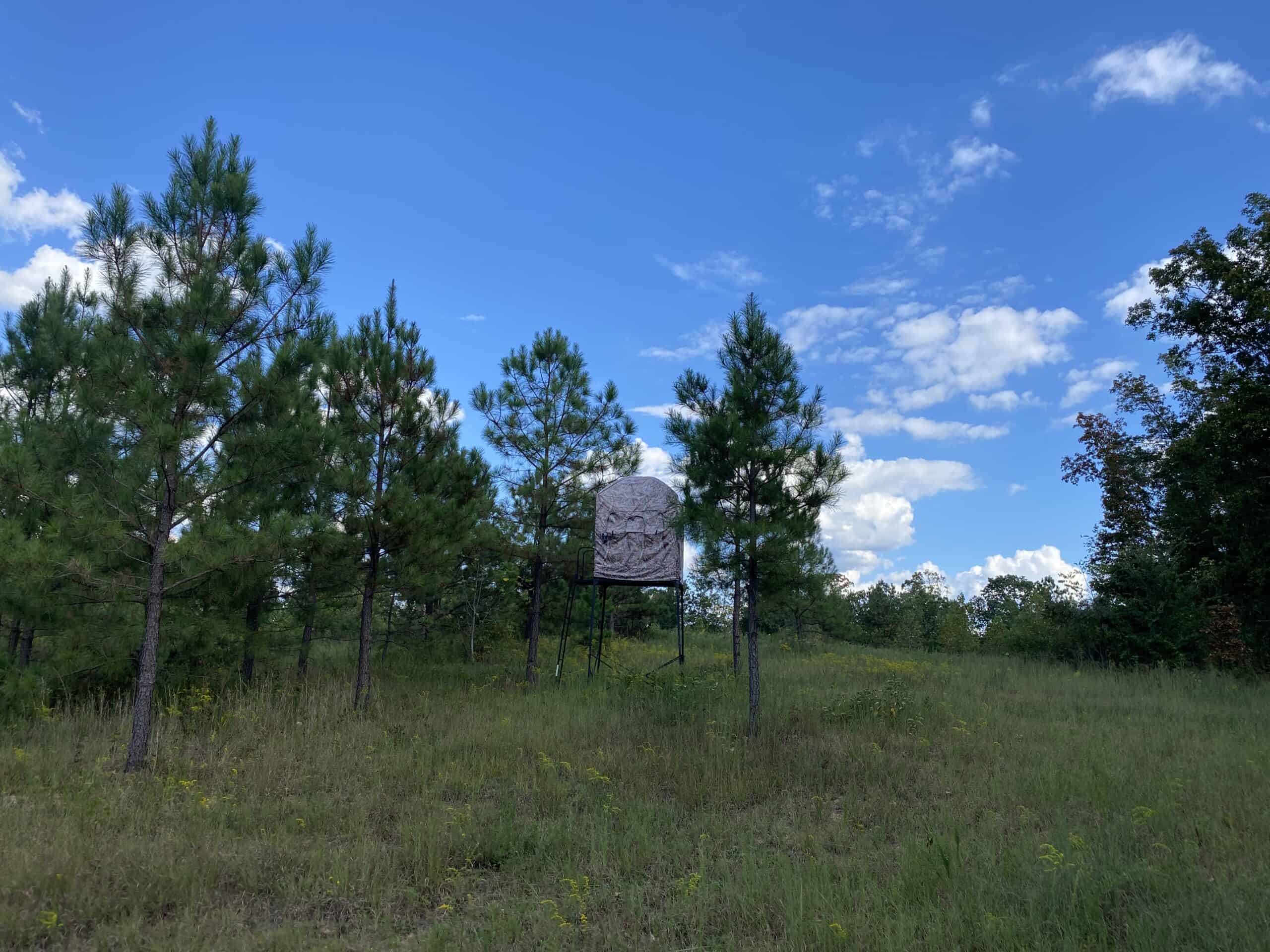 LAND FOR SALE IN TN, 32.5 ACRES+/-, OLD HOME, HUNTING, CREEK