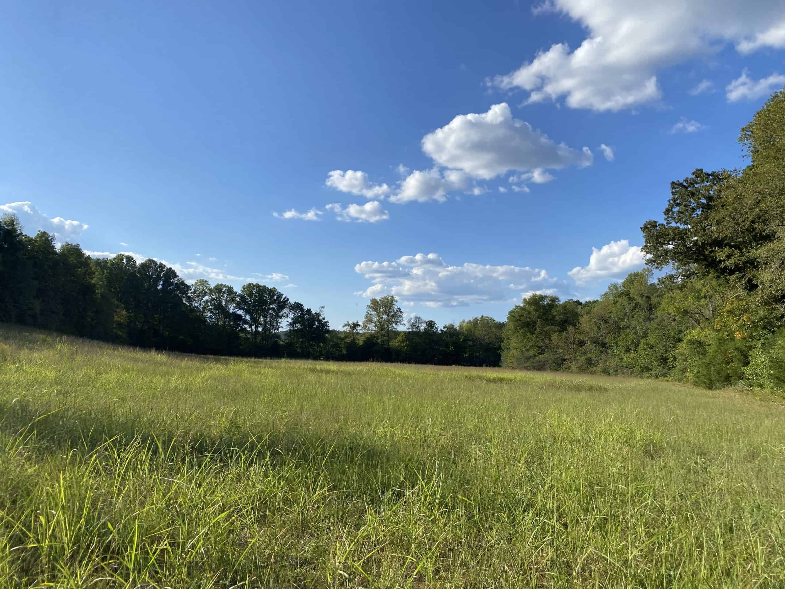 LAND FOR SALE IN TN, 21.5 ACRES+/-, OPEN & WOODED LAND, CREEK