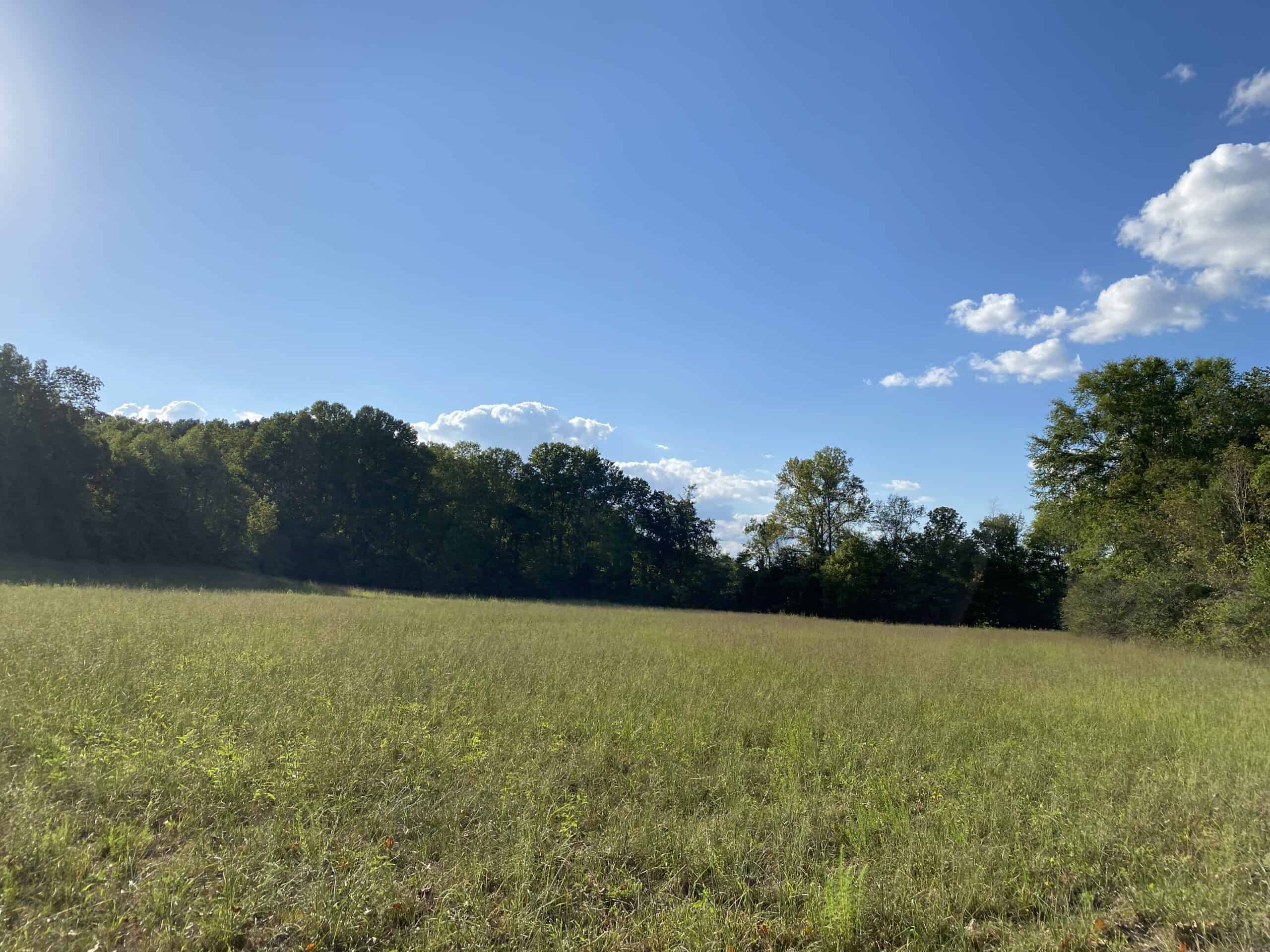 LAND FOR SALE IN TN, 21.5 ACRES+/-, OPEN & WOODED LAND, CREEK