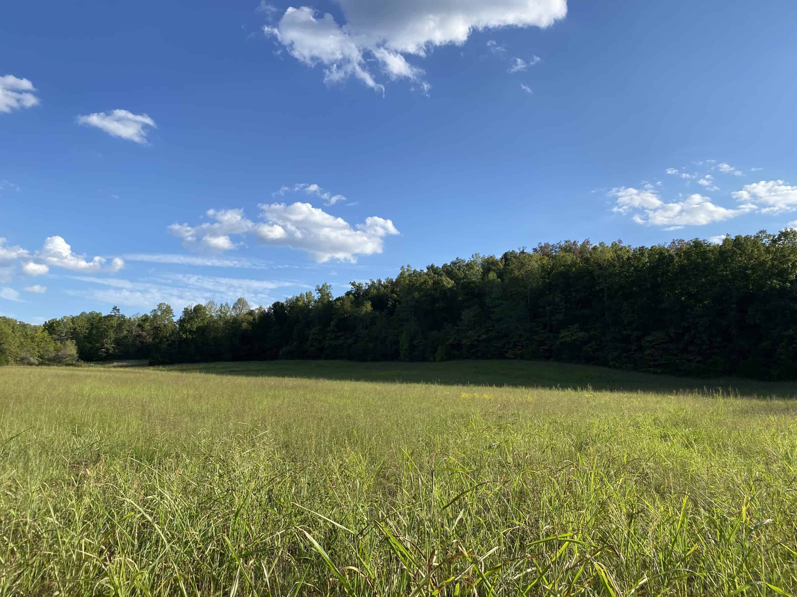 LAND FOR SALE IN TN, 21.5 ACRES+/-, OPEN & WOODED LAND, CREEK