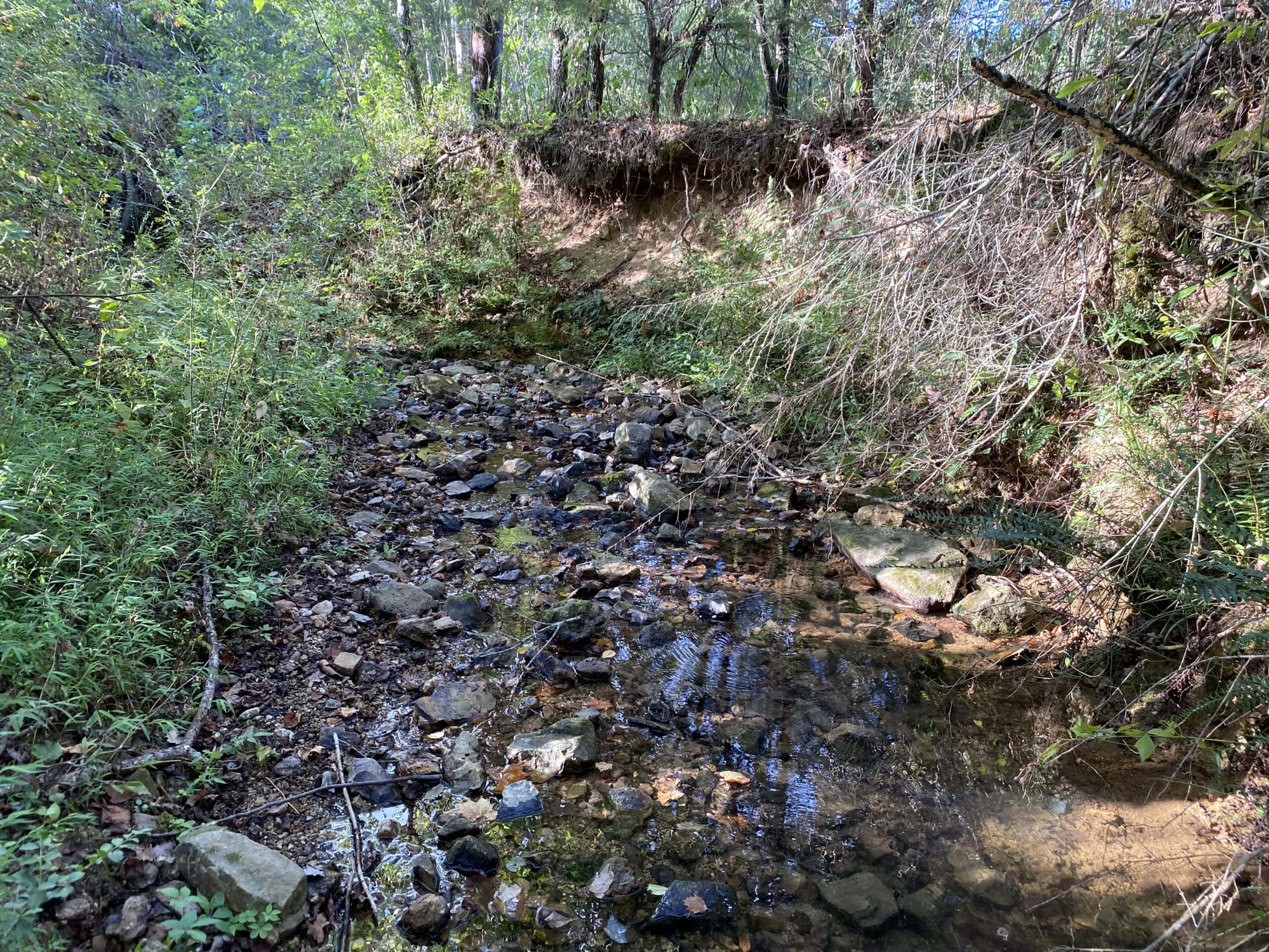 LAND FOR SALE IN TN, 21.5 ACRES+/-, OPEN & WOODED LAND, CREEK